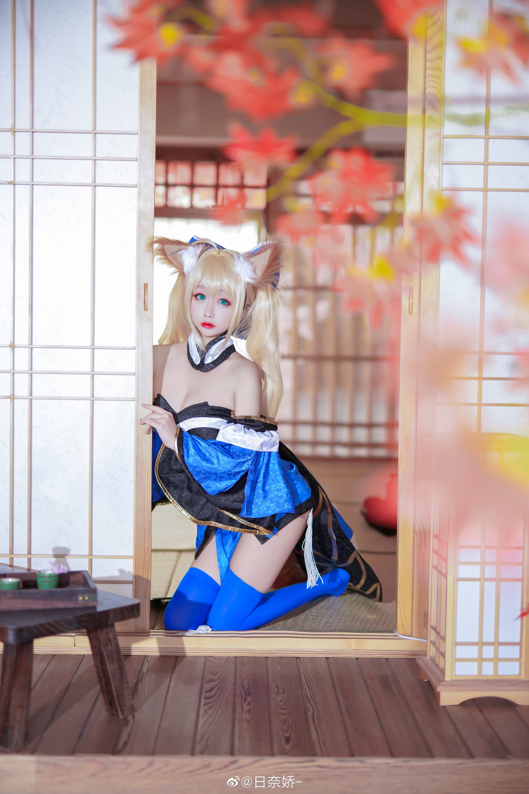 日奈娇 – 库巴姬+尼禄变装 [8P]-66COS