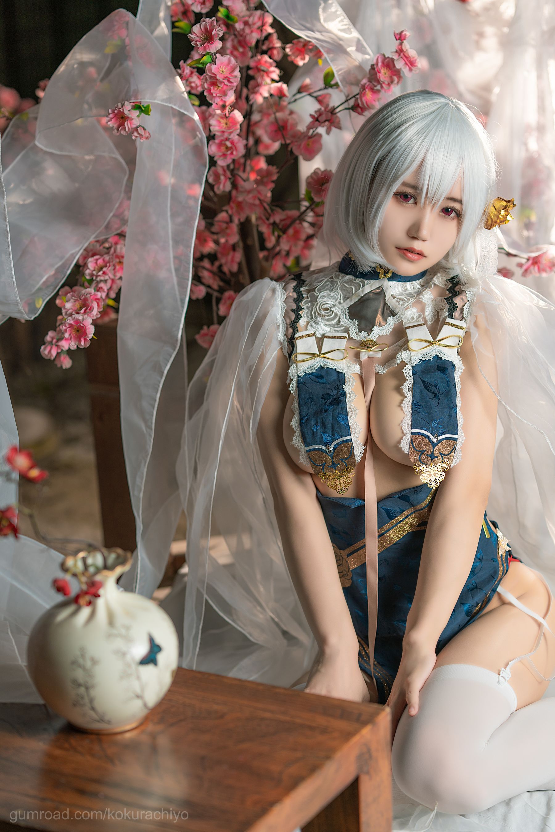 动漫博主小仓千代w – 天狼星旗袍 [20P]-66COS
