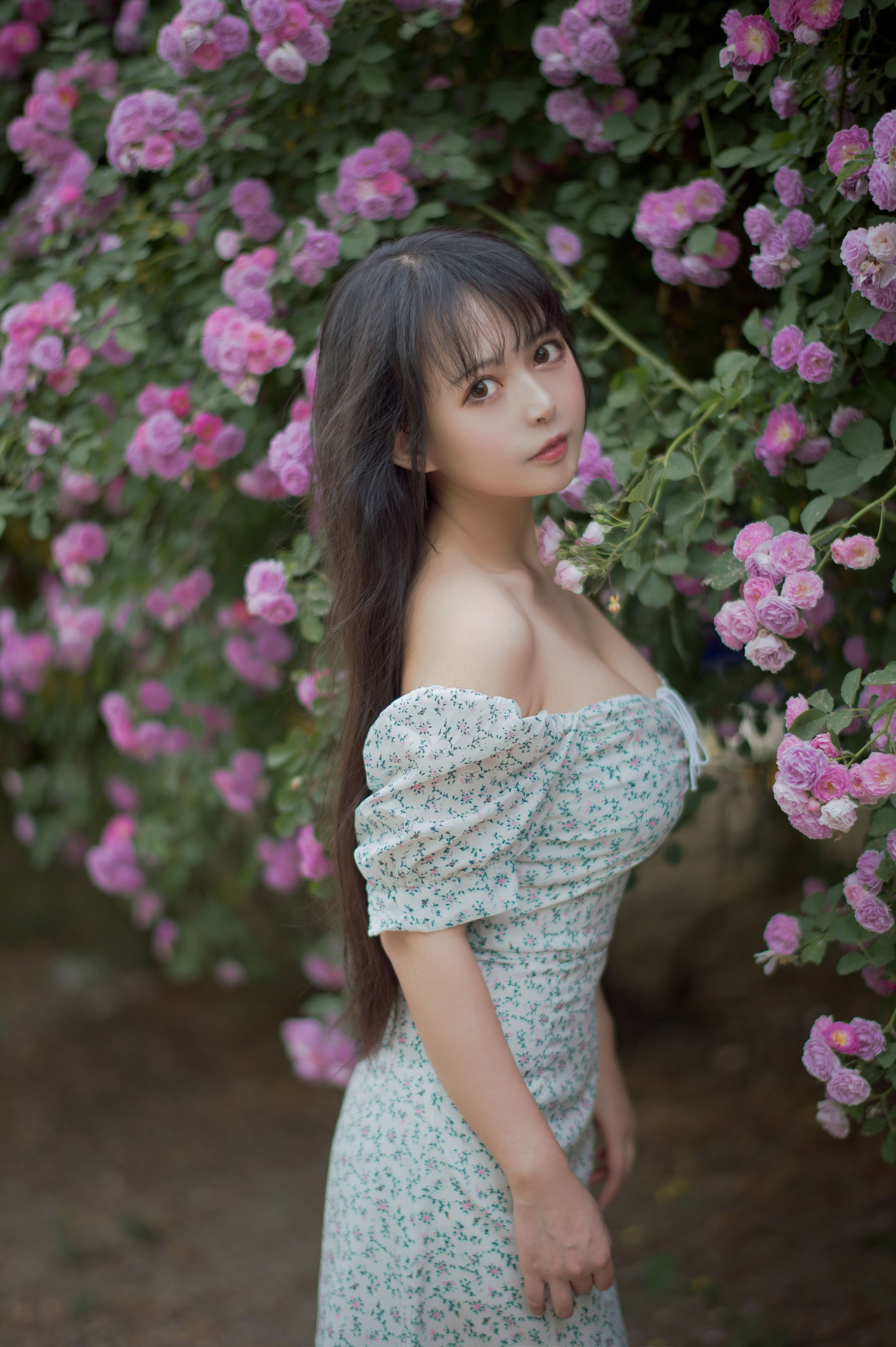 大眼萌妹黑猫猫OvO – 蔷薇2 [27P]-66COS