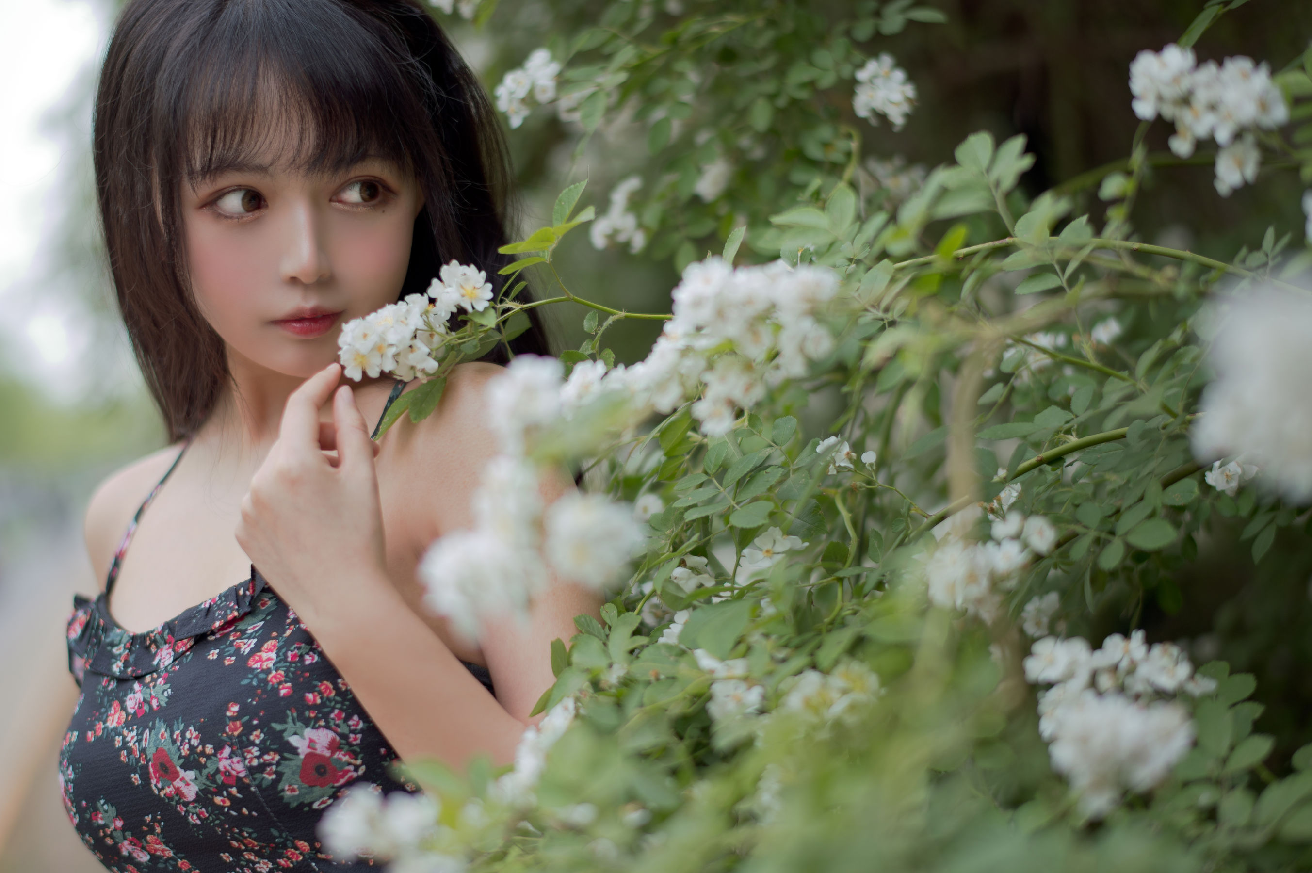 大眼萌妹黑猫猫OvO – 蔷薇1 [22P]-66COS