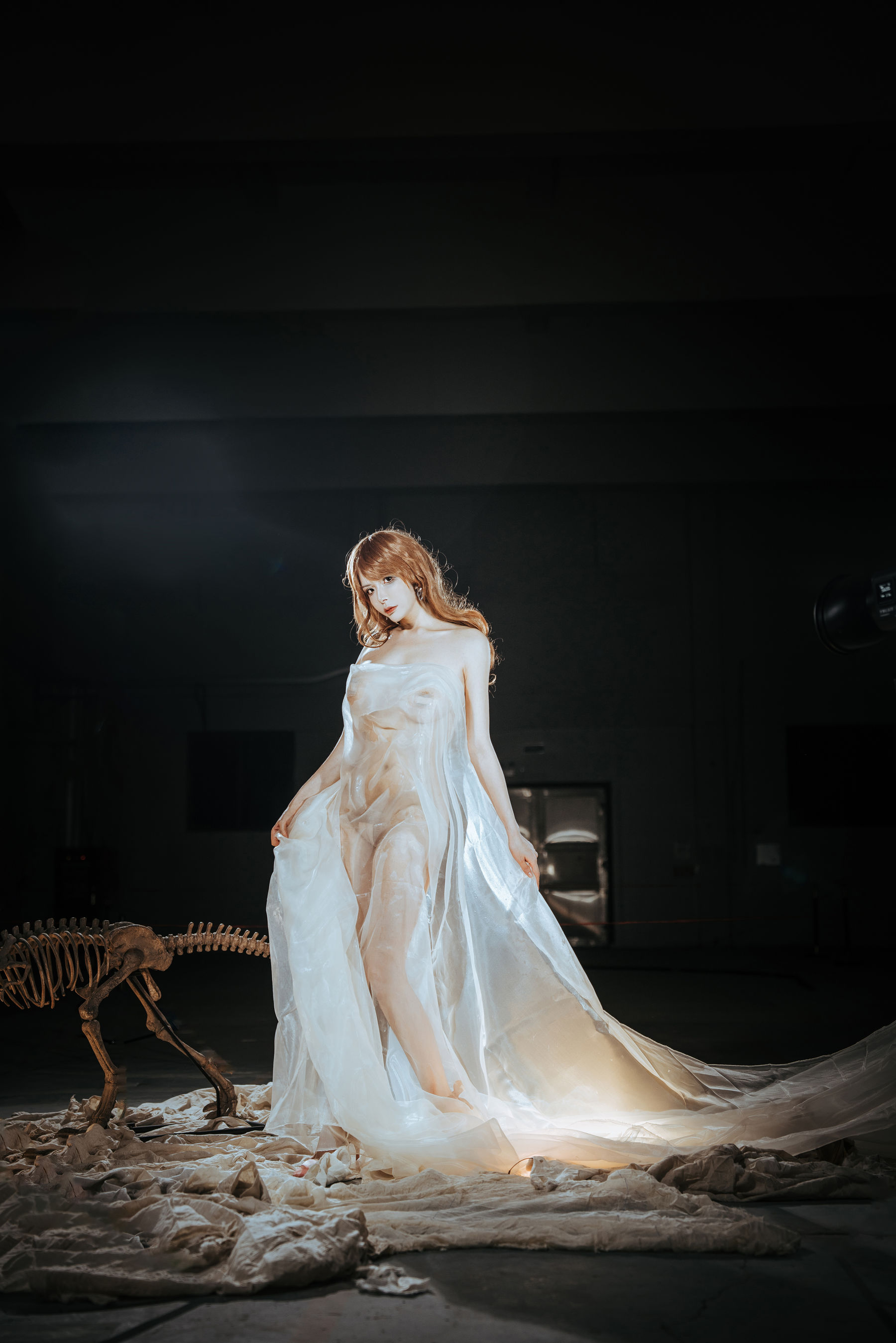 秋和柯基(夏小秋秋秋) – 纱 [66P]-66COS