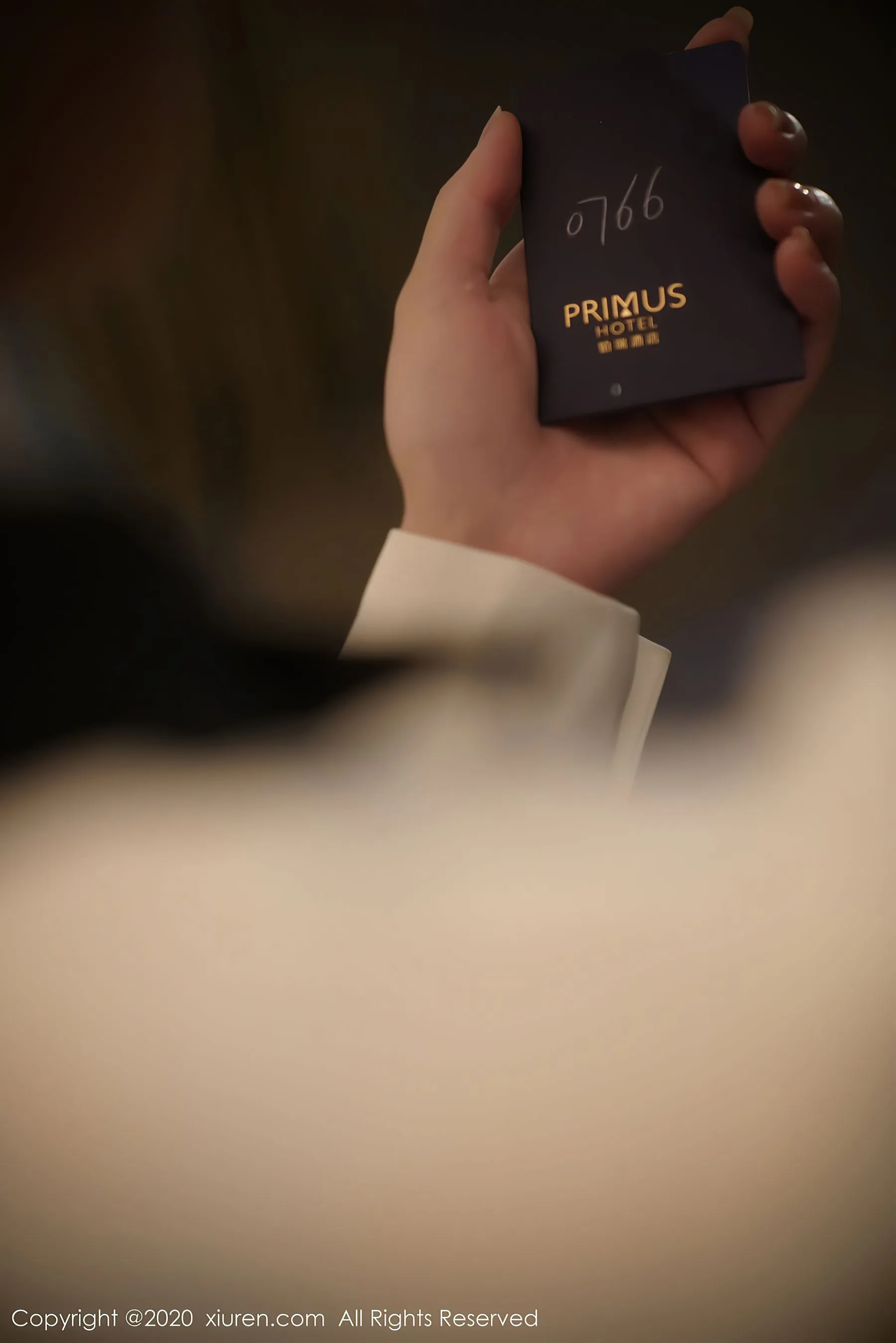 秀人 No.2722 周于希Sandy 插图4