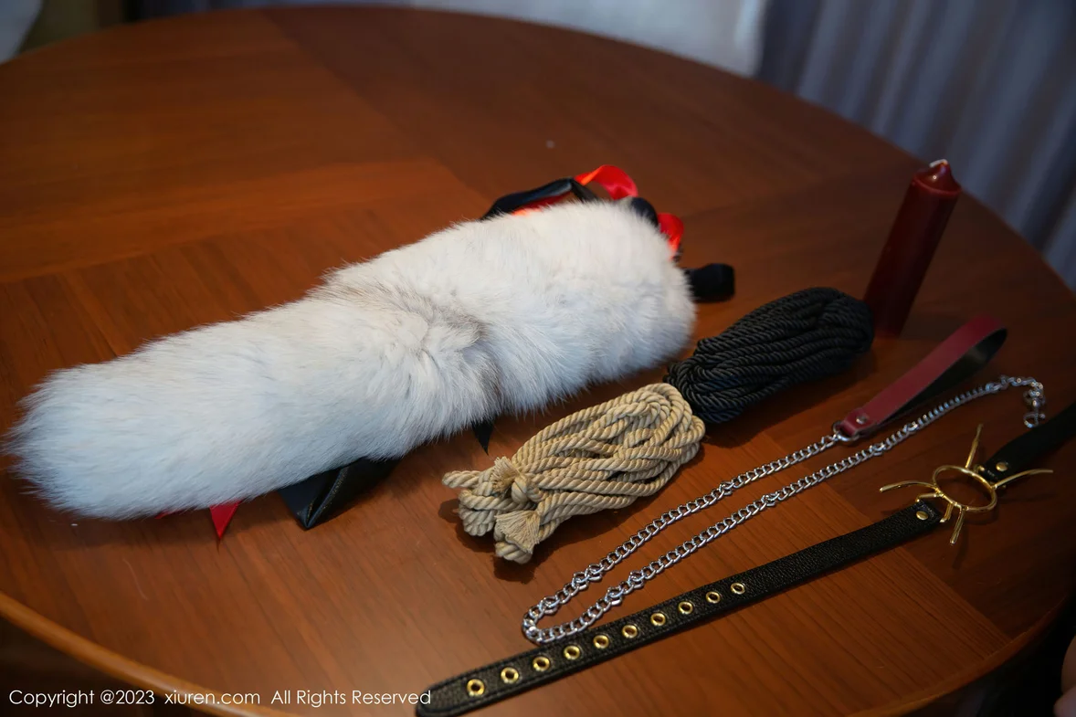 XiuRen 秀人 No.6890 是小逗逗 猫咪造型拍摄性感写真 [81P]-66COS