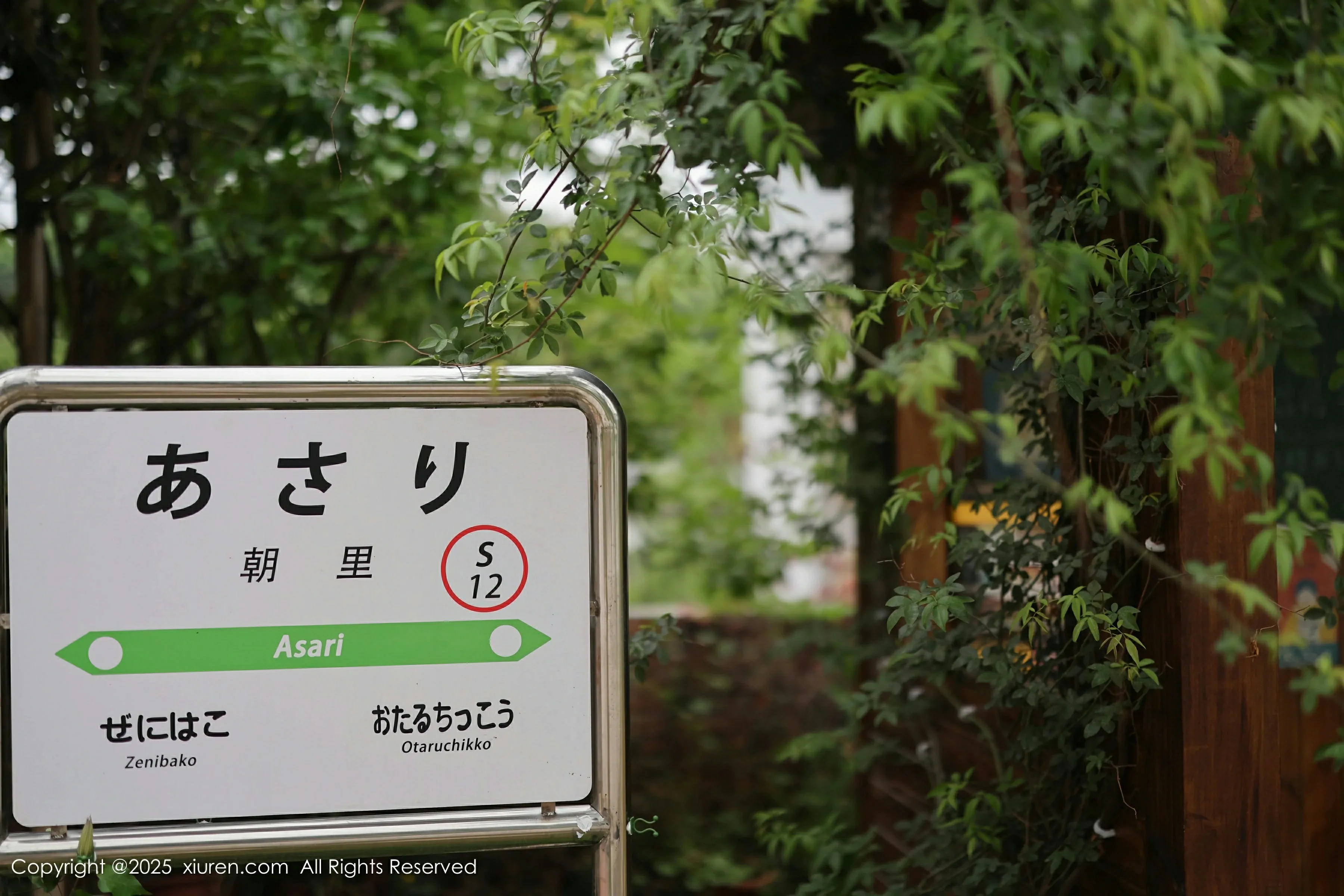 XiuRen 秀人 No.10215 茂木希子 [82P] 插图5