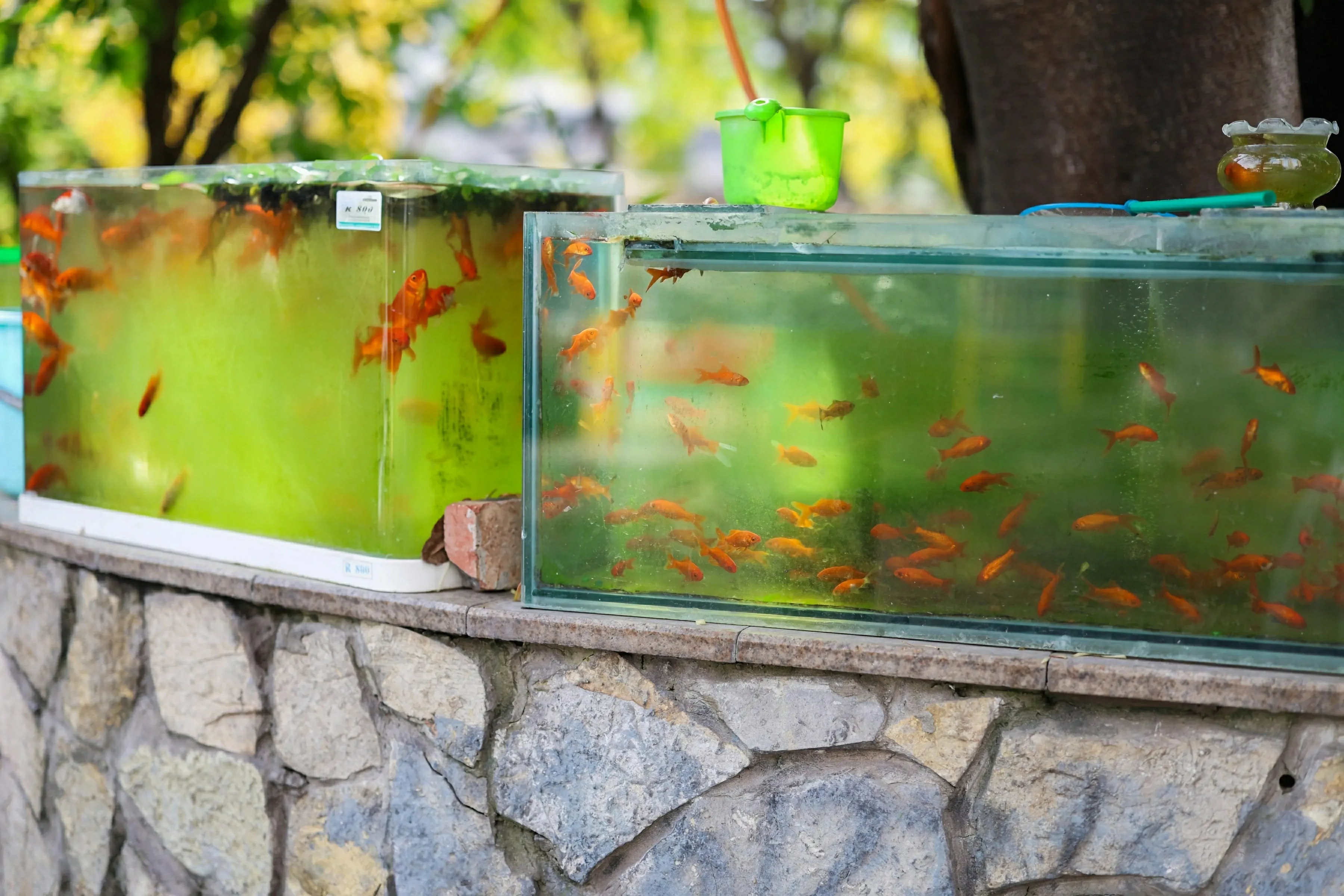 XiuRen 秀人 No.10247 茂木希子 [80P] 插图2