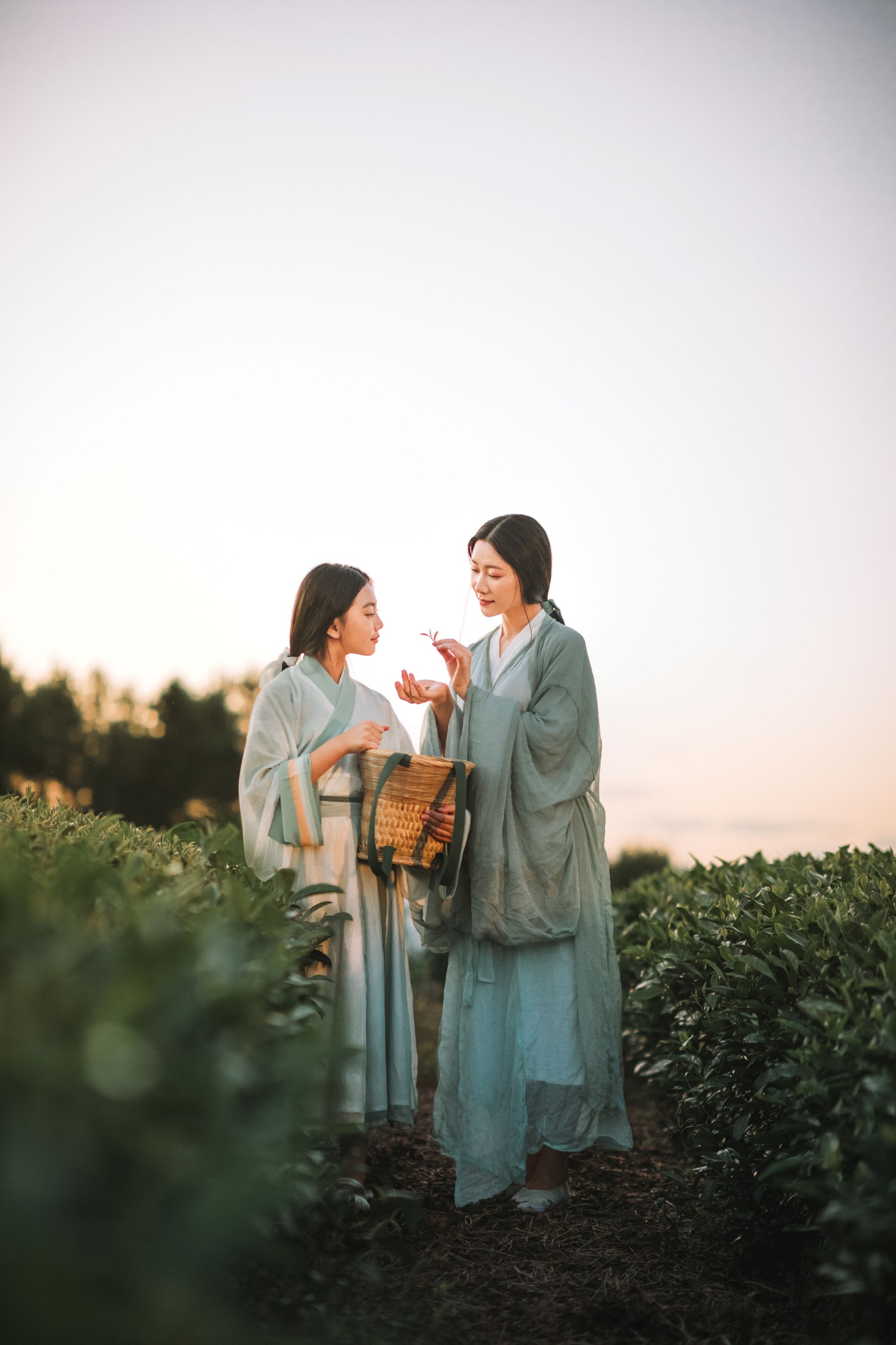 木哥 – 《茶园》[33P] 插图5