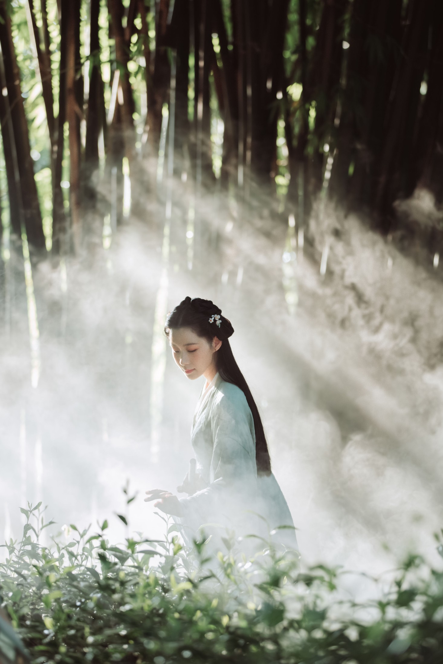 木哥 – 《茶园》[33P] 插图3