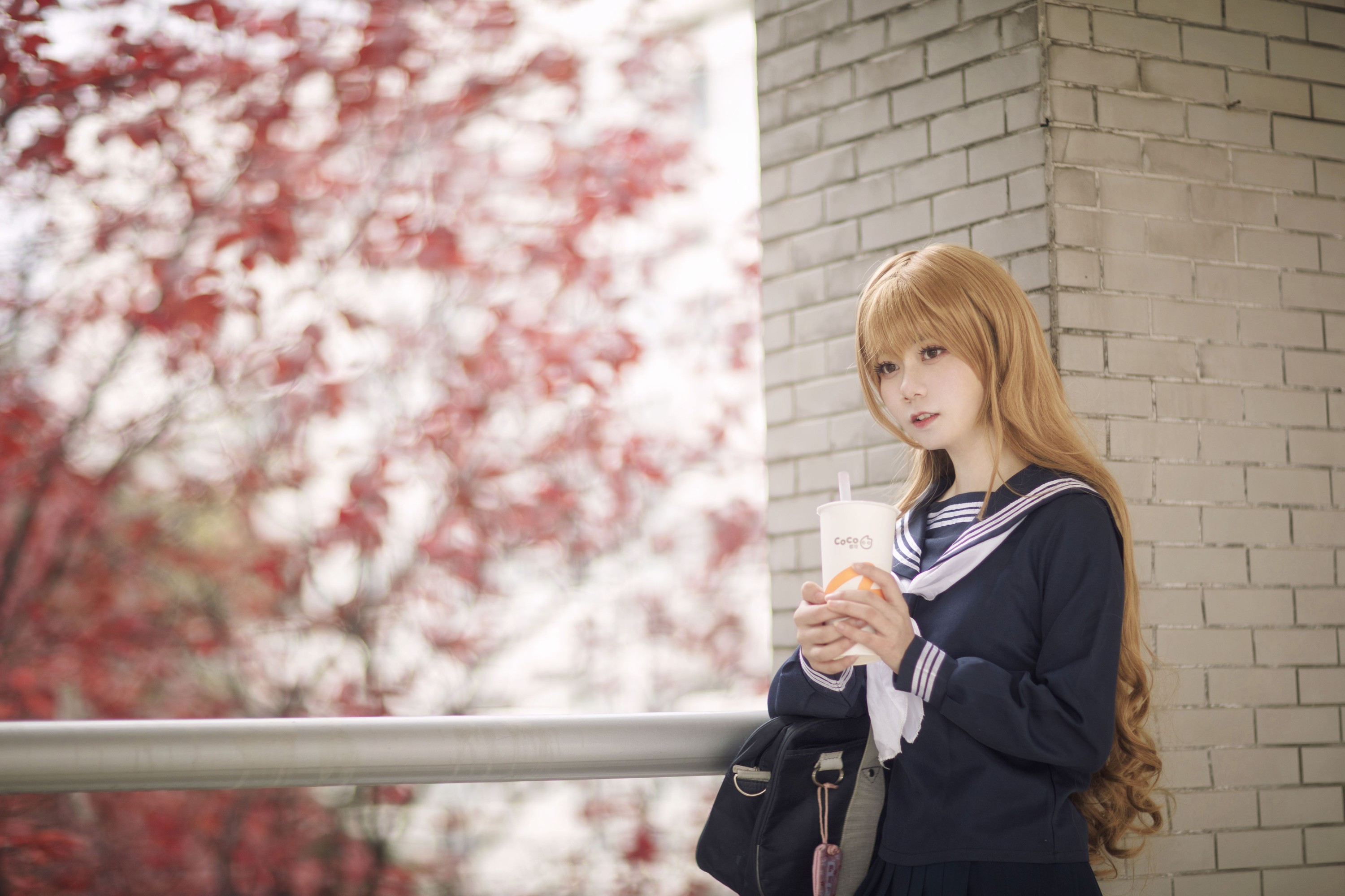 森祁 – 《龙与虎：逢坂大河》[20P] 插图3