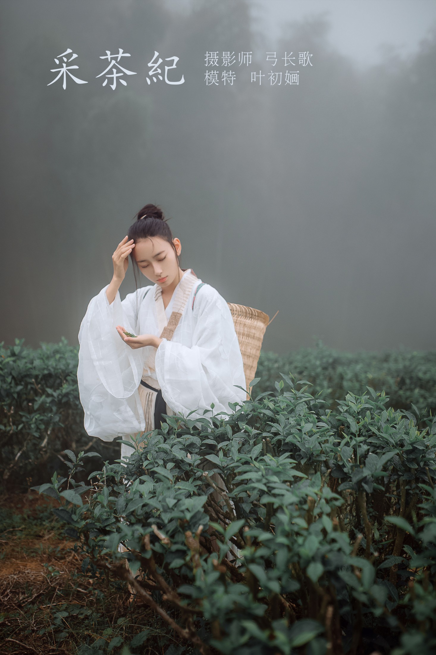 叶初婳 – 《采茶纪》[23P]-66COS