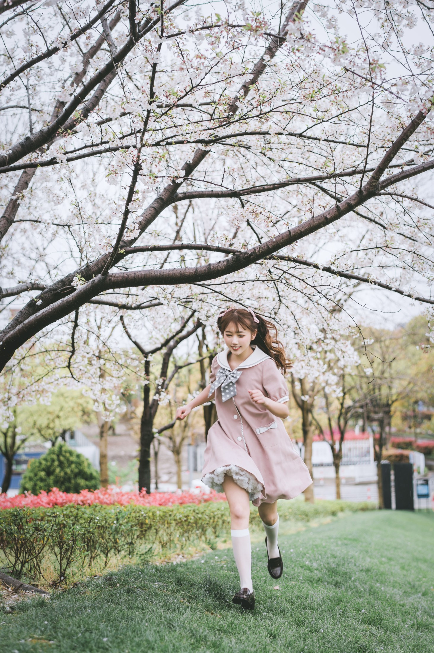 田子 – 《雨樱》[31P] 插图5