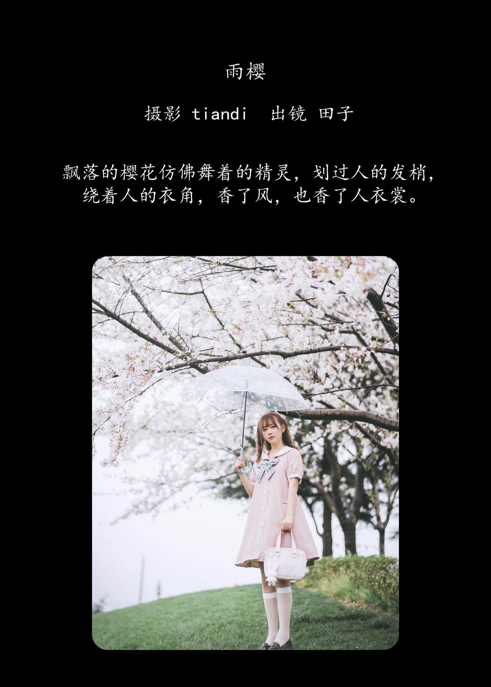 田子 – 《雨樱》[31P] 插图2