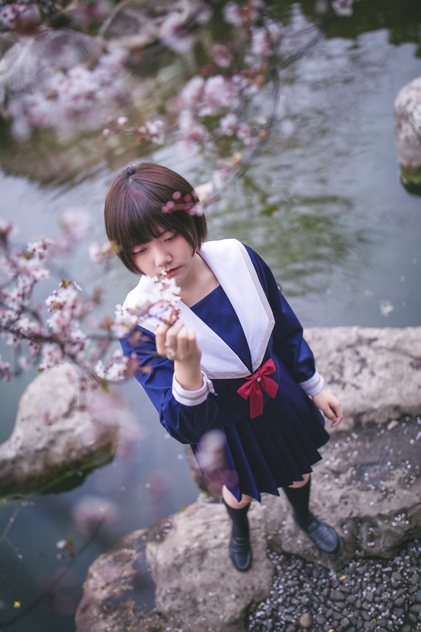 灰猫 – 《樱花树下》[20P] 插图5