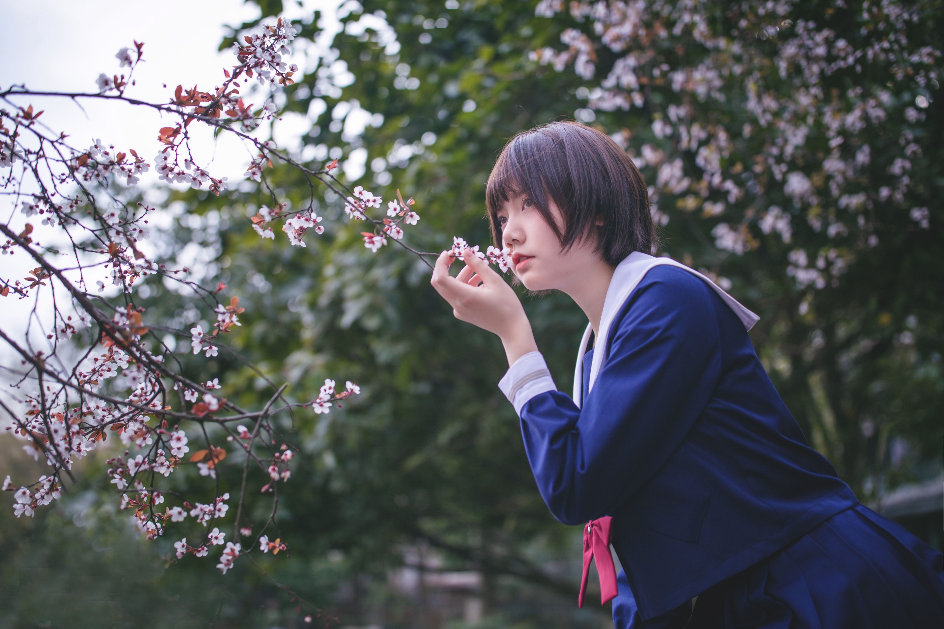 灰猫 – 《樱花树下》[20P] 插图4