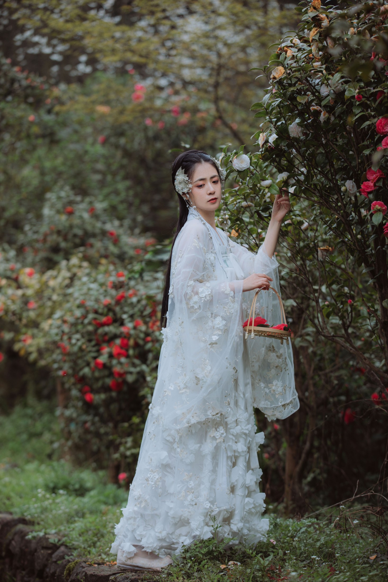 瞳人儿 – 《清平乐》[25P] 插图5