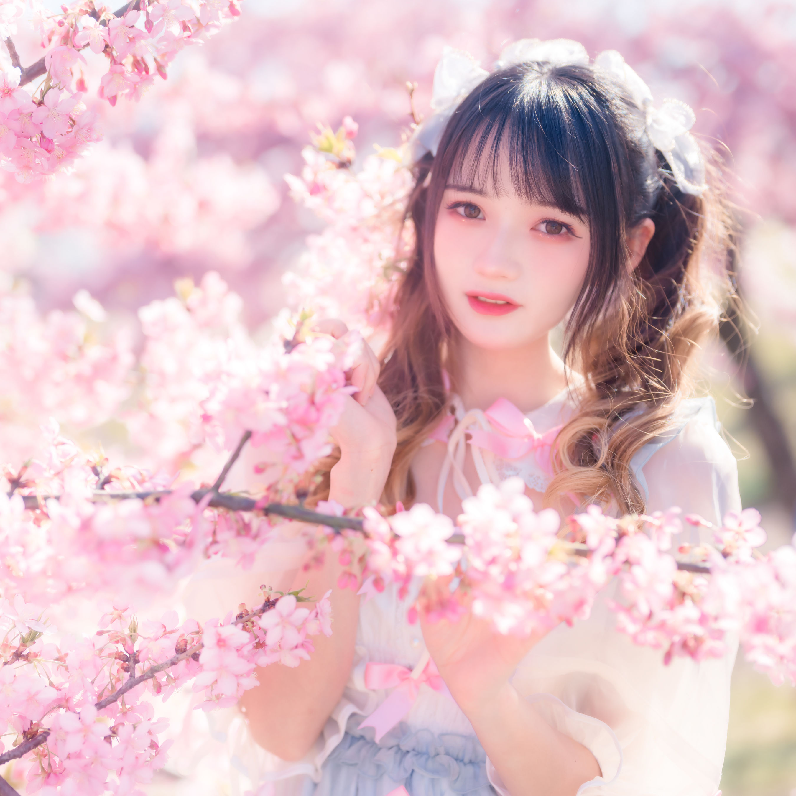 兔子Zzz不吃胡萝卜 – 《粉色春天》[24P] 插图4