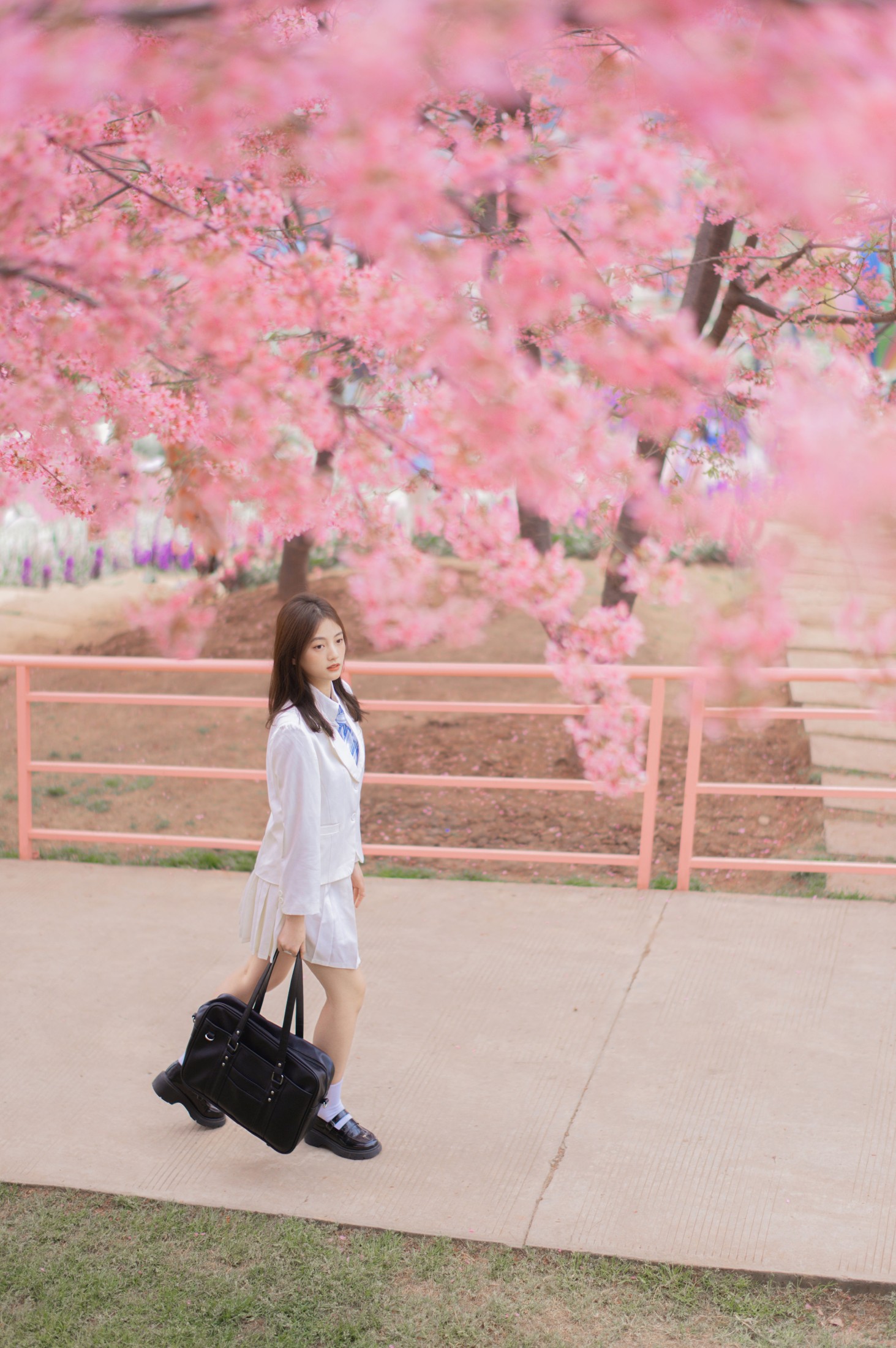 倾倾 – 《樱吹叶》[20P] 插图5