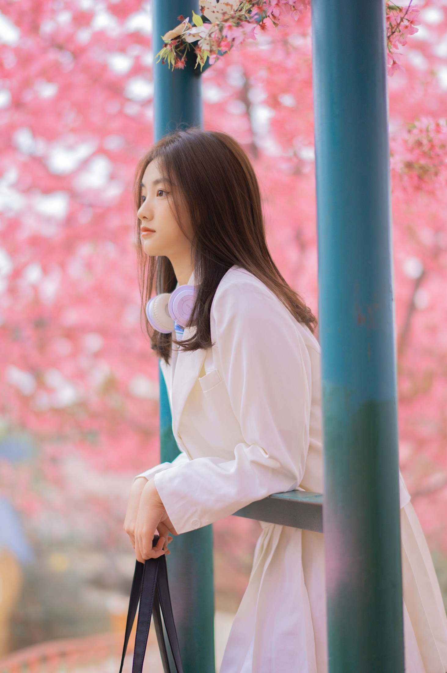 倾倾 – 《樱吹叶》[20P] 插图4