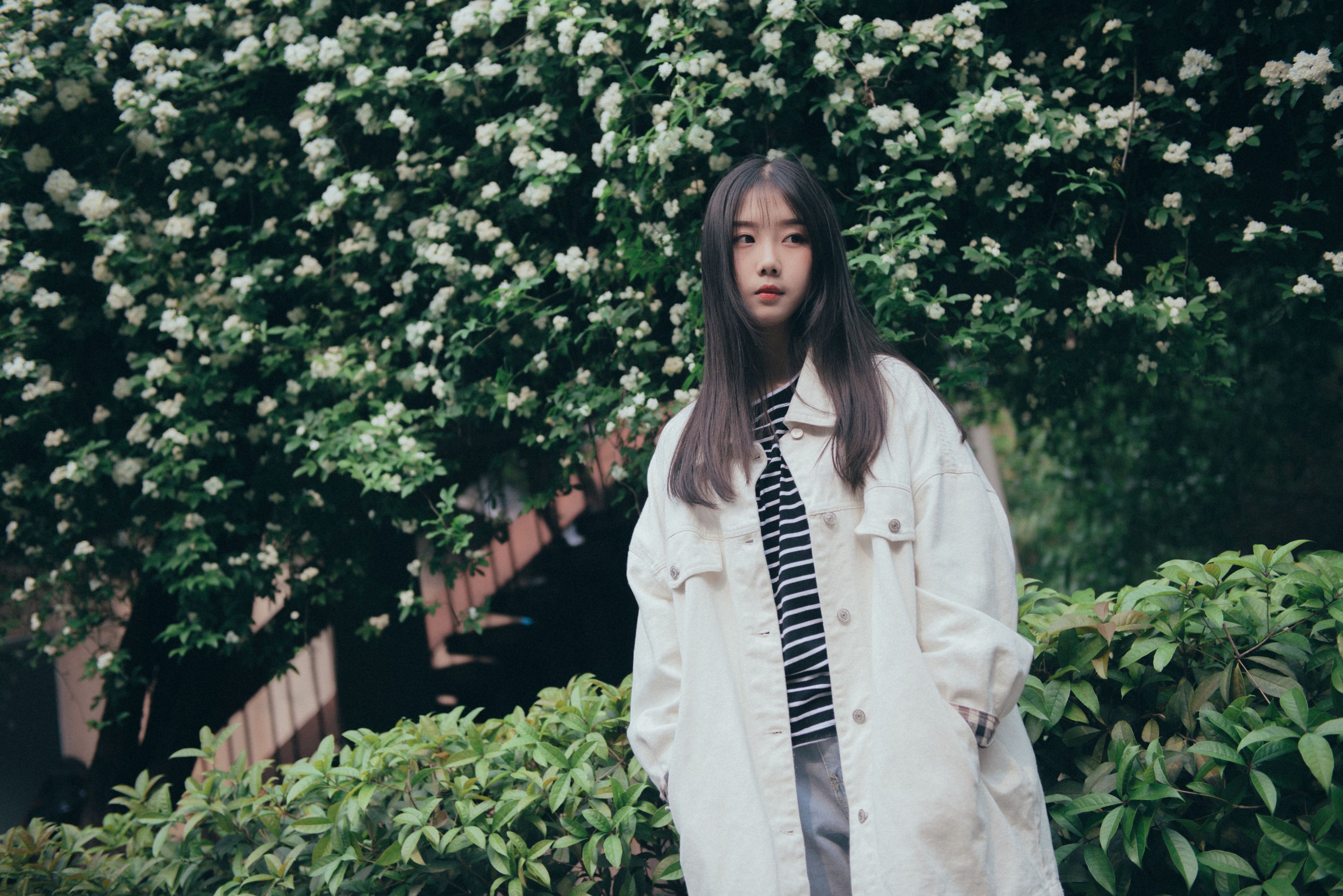 紫卿 – 《花开之时》[20P] 插图3