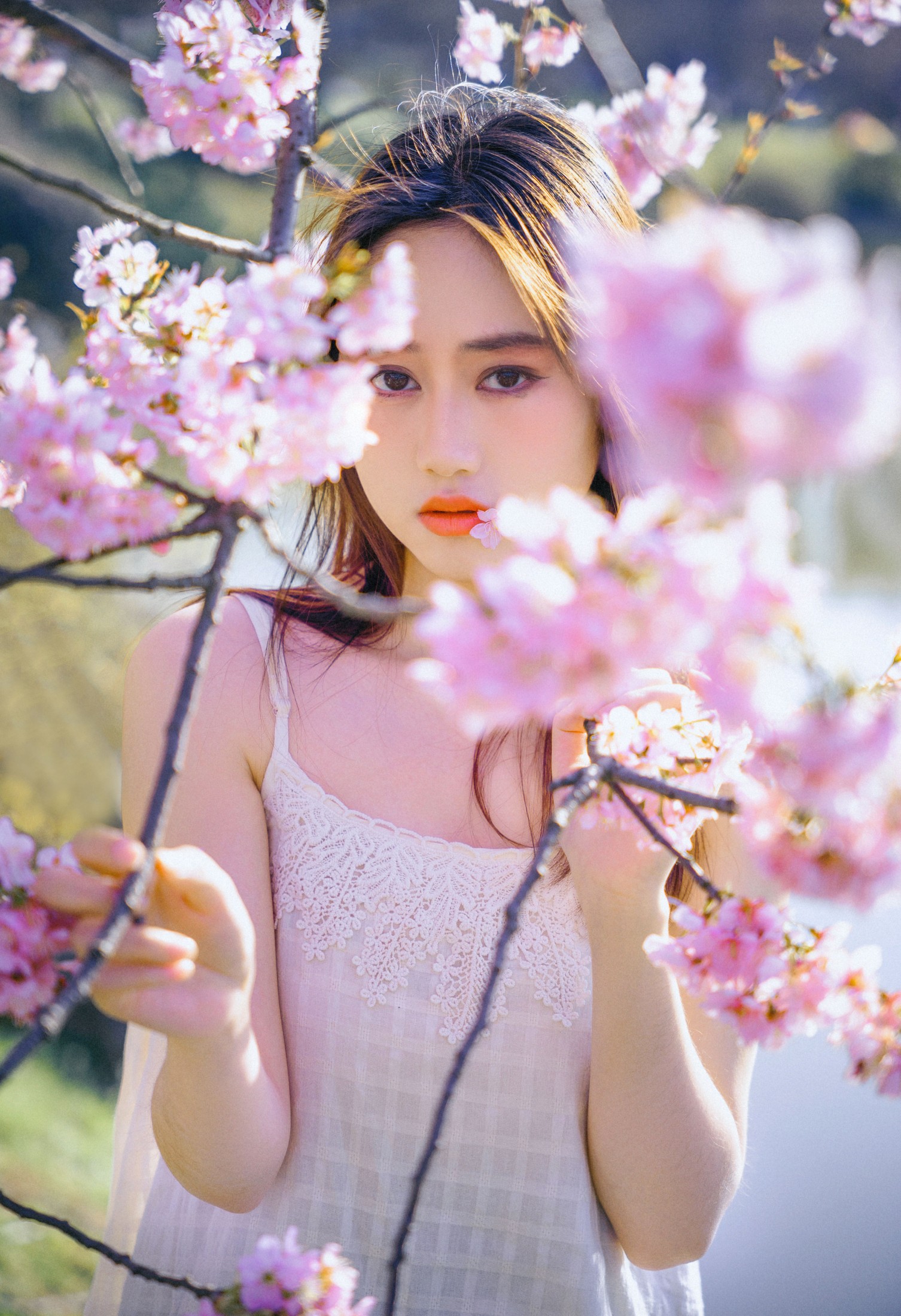 乐乐 – 《樱花物语》[22P] 插图4