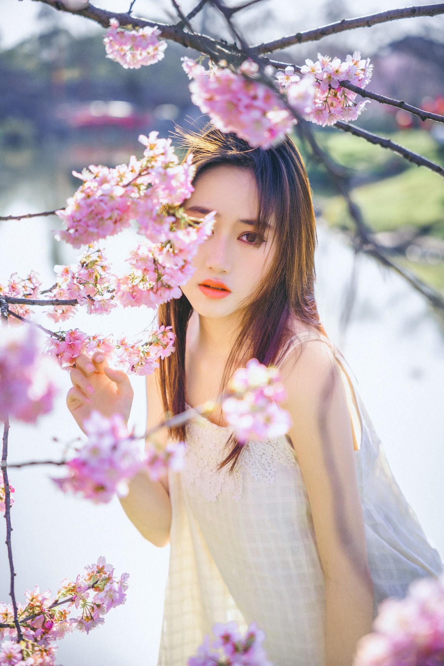 乐乐 – 《樱花物语》[22P] 插图5