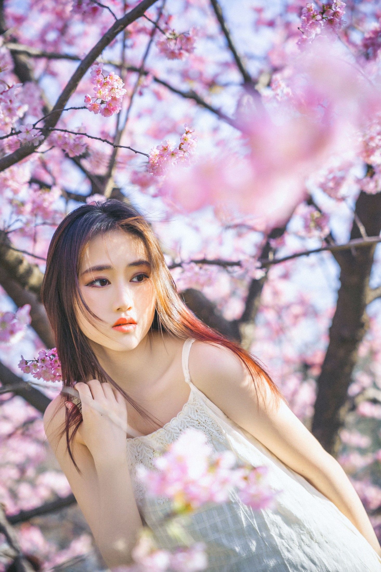 乐乐 – 《樱花物语》[22P] 插图3