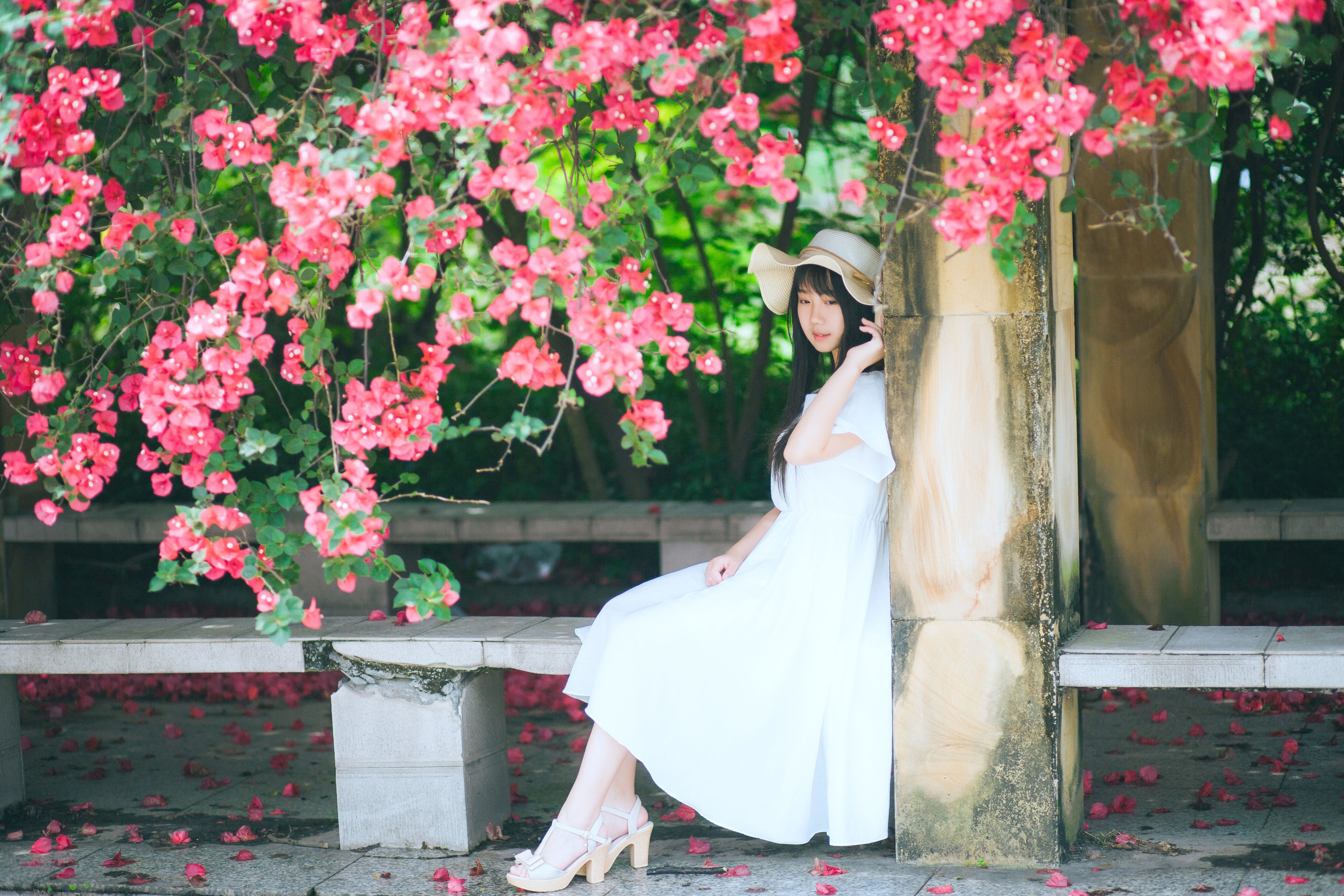 紫卿 – 《花和那姑娘》[23P] 插图5