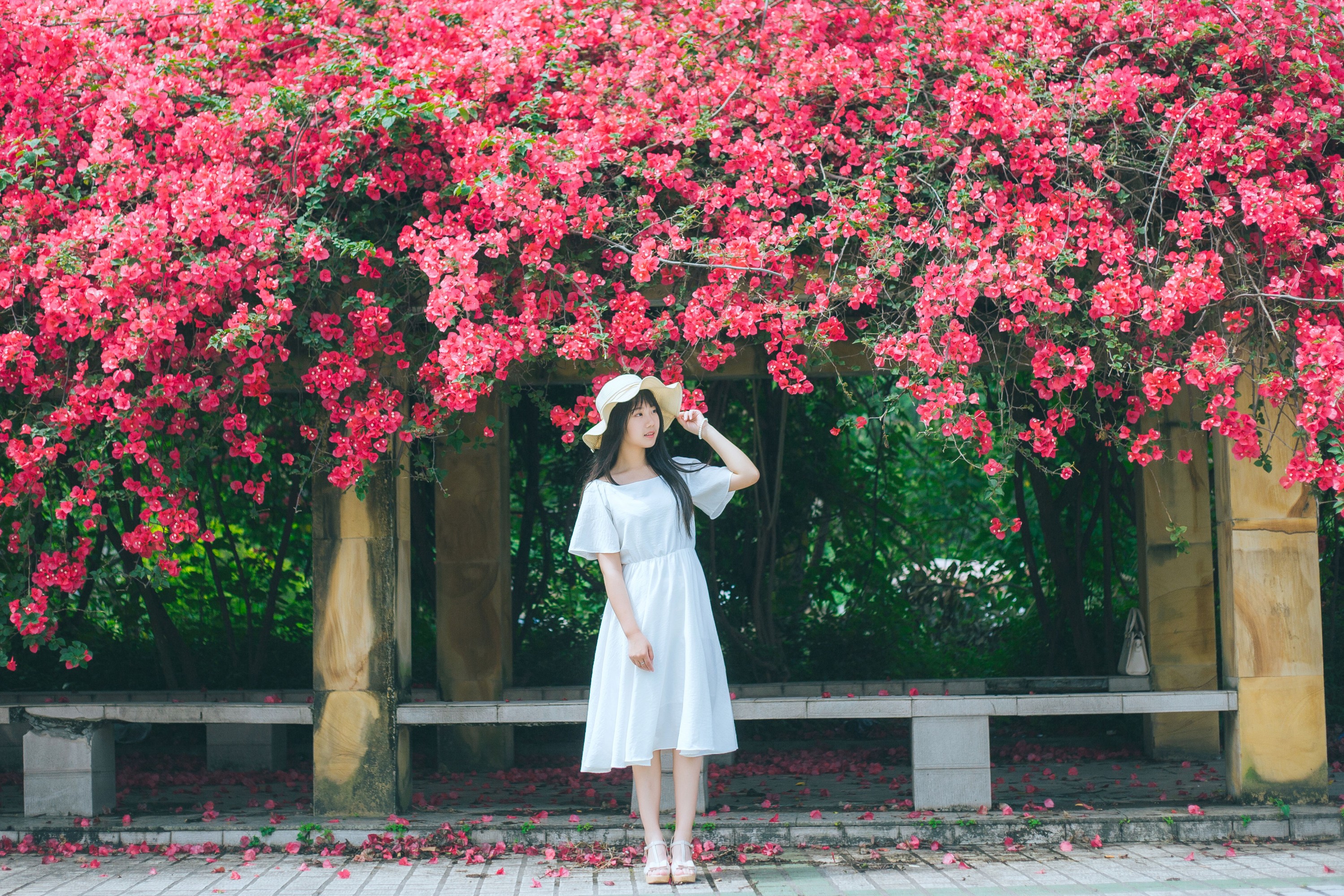 紫卿 – 《花和那姑娘》[23P] 插图3