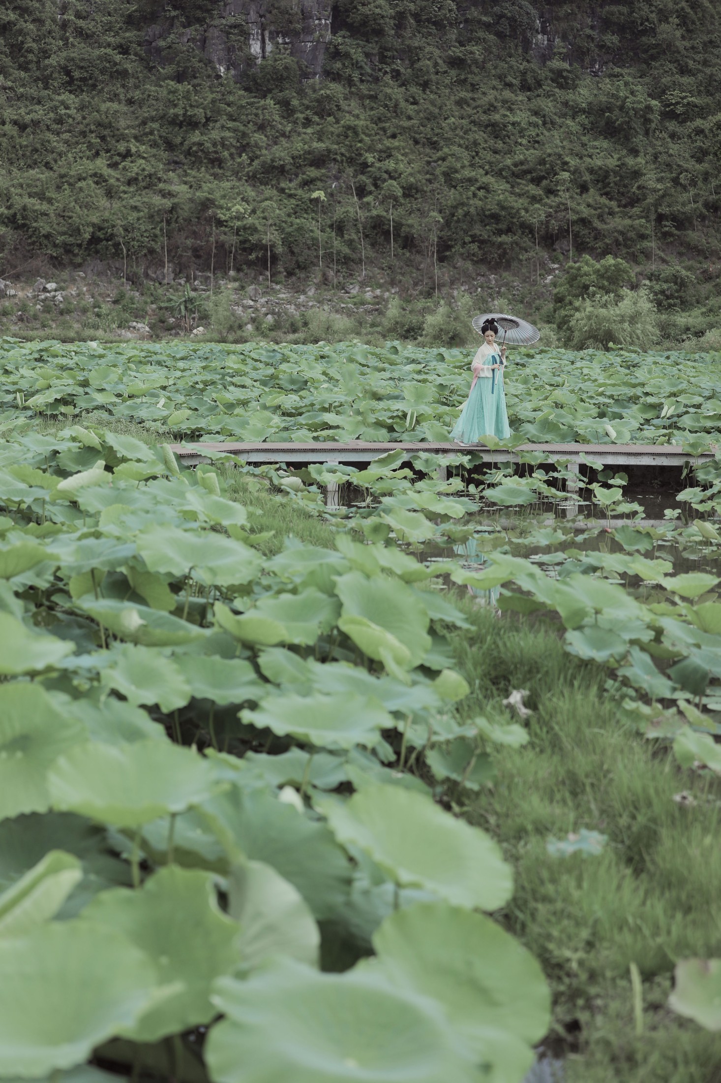 萍萍 – 《无穷碧》[22P] 插图5