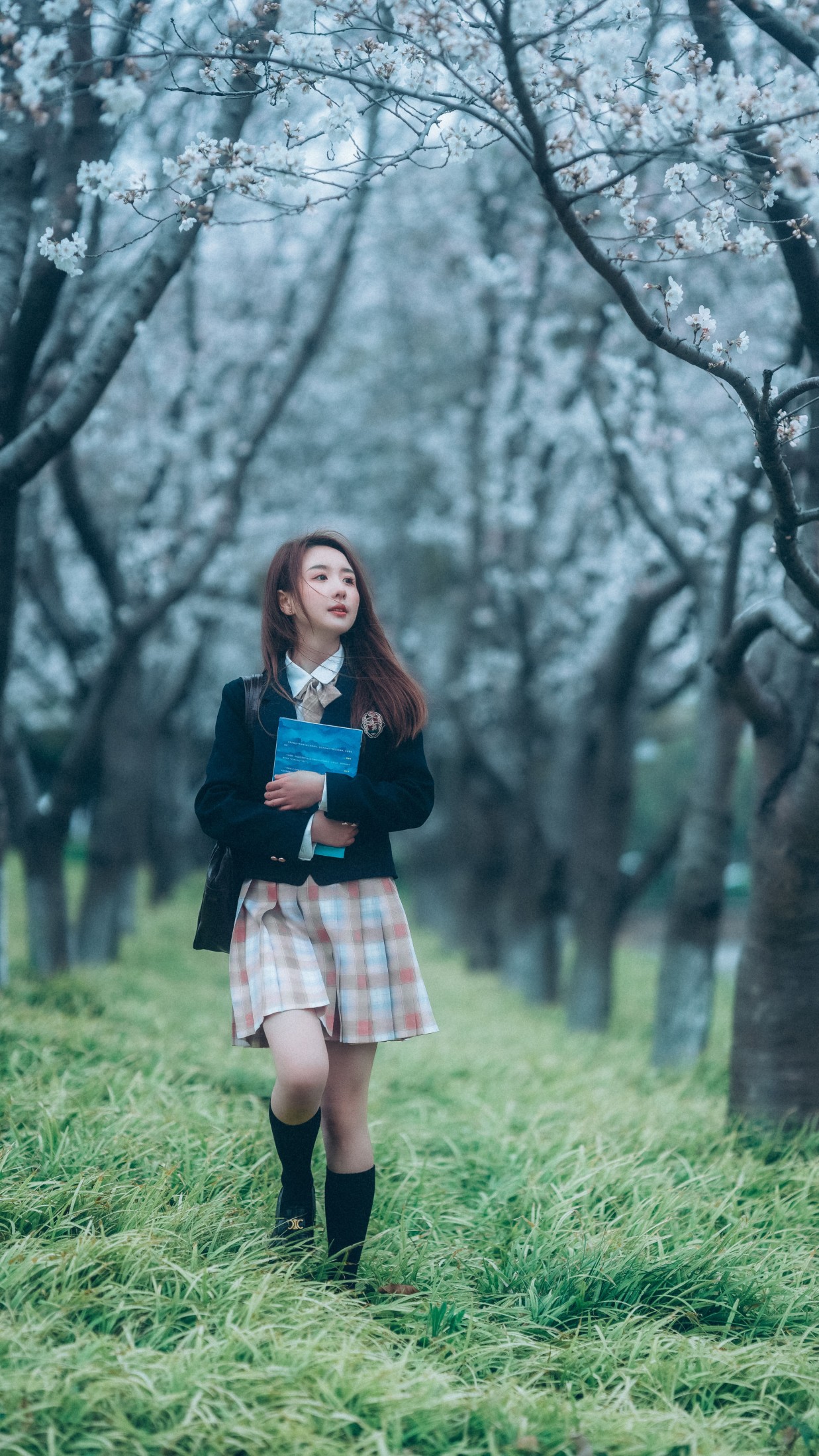 富贵 – 《少女与樱》[43P] 插图4