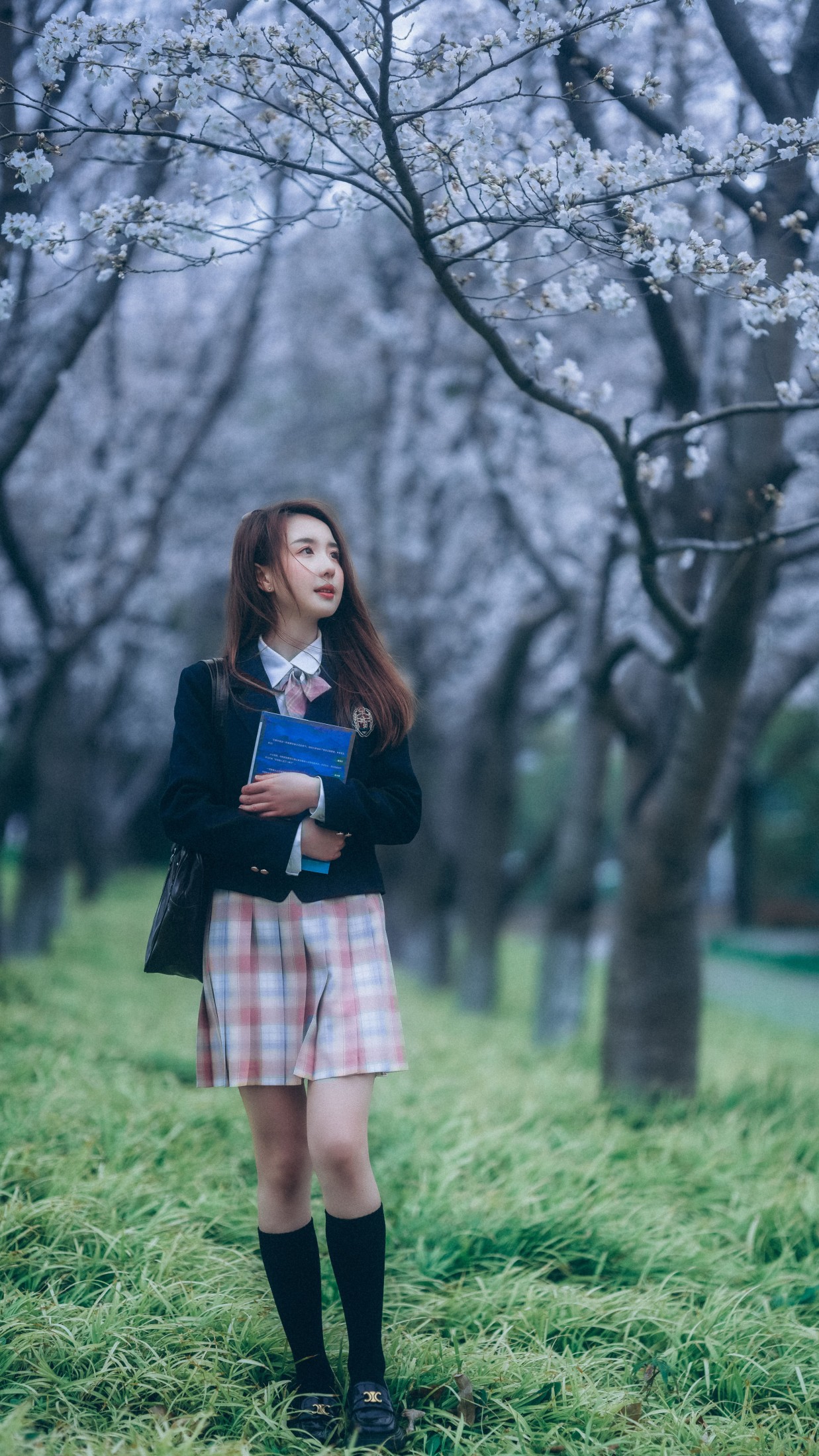 富贵 – 《少女与樱》[43P] 插图5