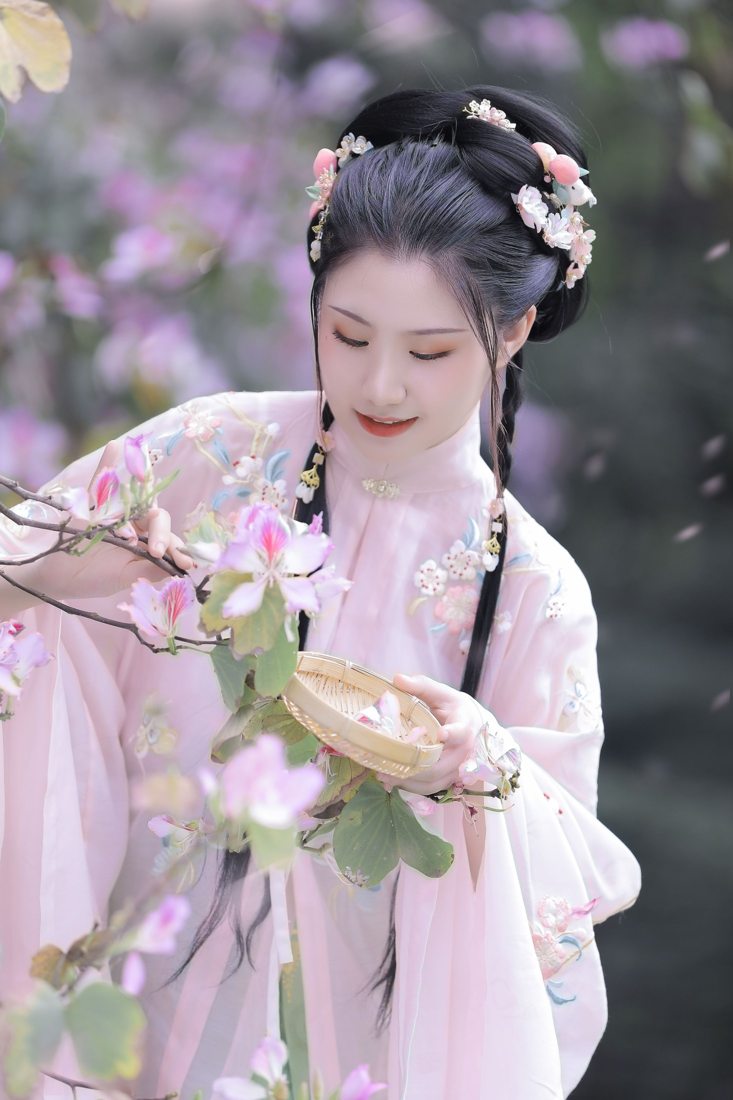 木木 – 《紫荆枝》[23P] 插图4