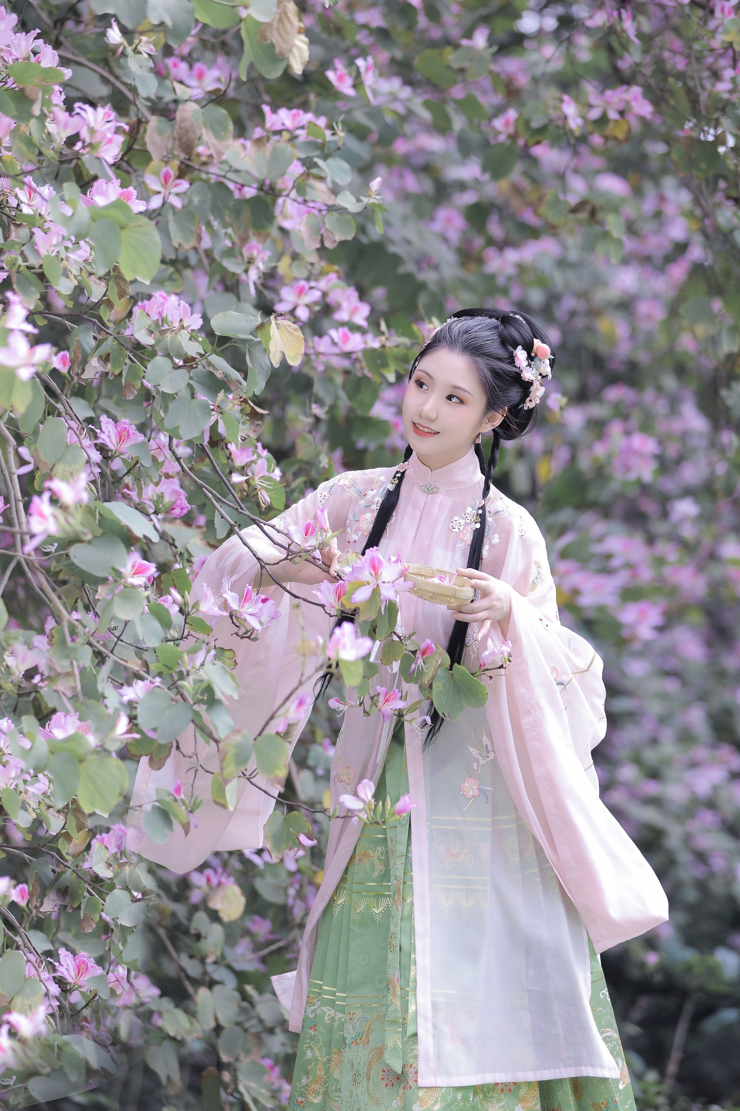 木木 – 《紫荆枝》[23P] 插图5