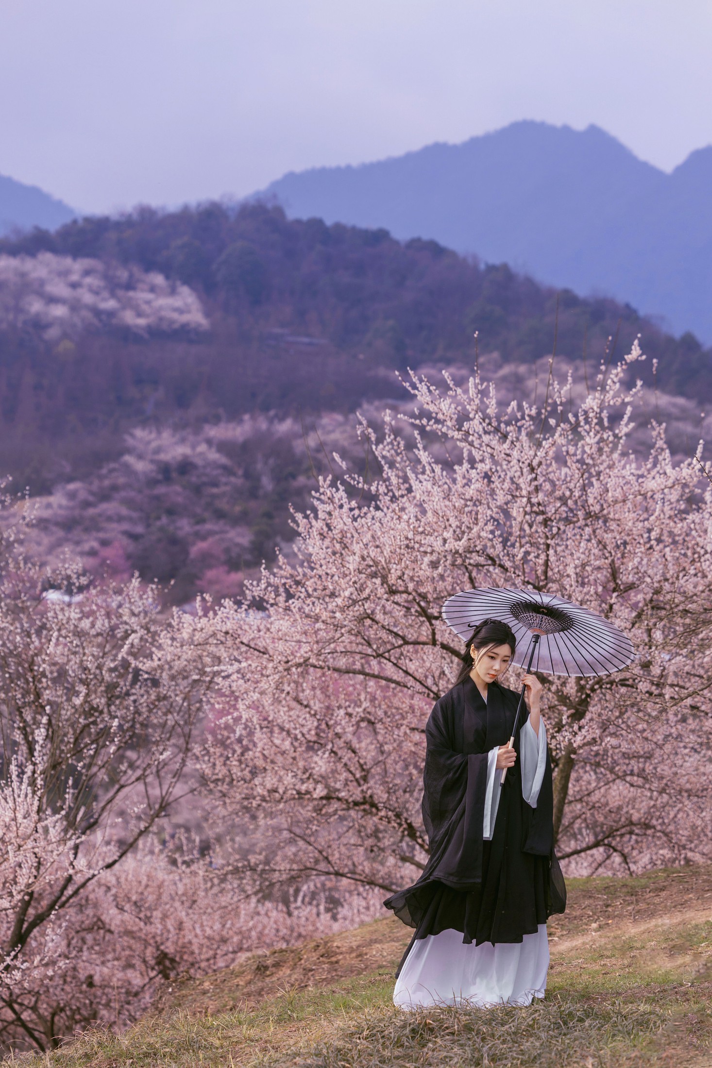 木哥 – 《樱花》[41P] 插图5