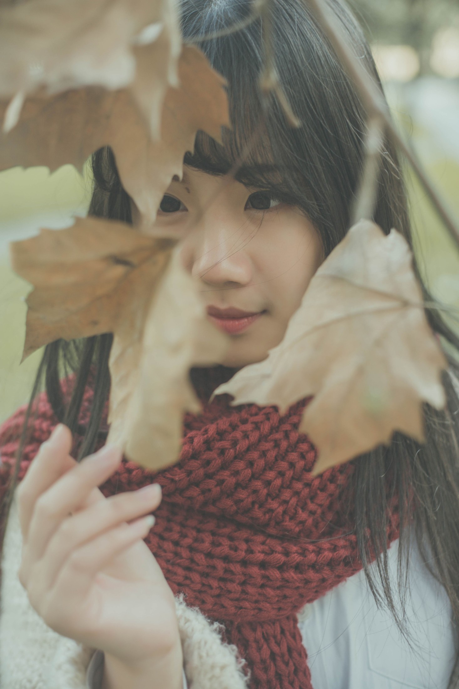 紫卿 – 《南国的冬》[26P] 插图4