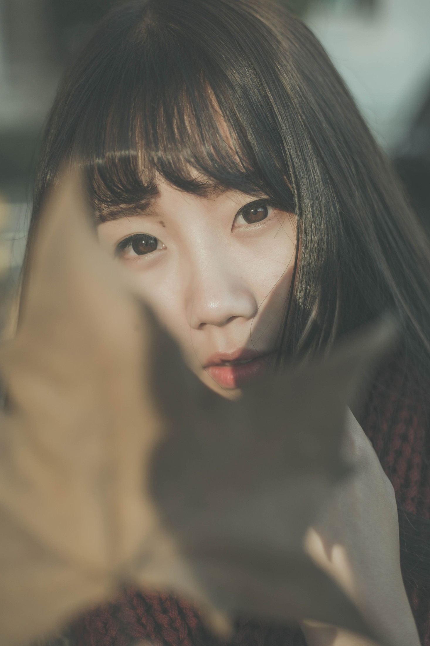 紫卿 – 《南国的冬》[26P] 插图3