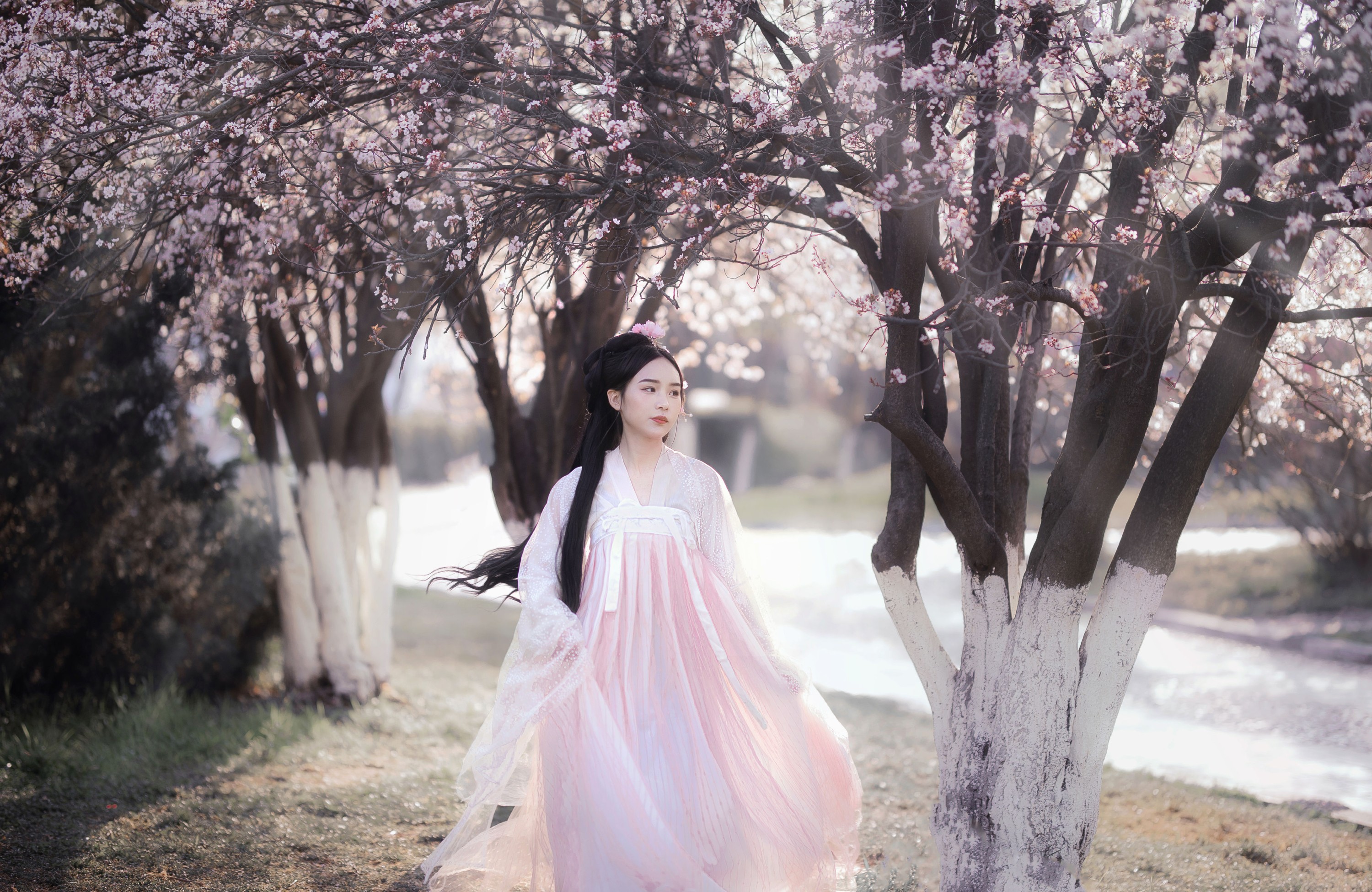 缱绻馥郁- – 《红叶李》[20P] 插图5