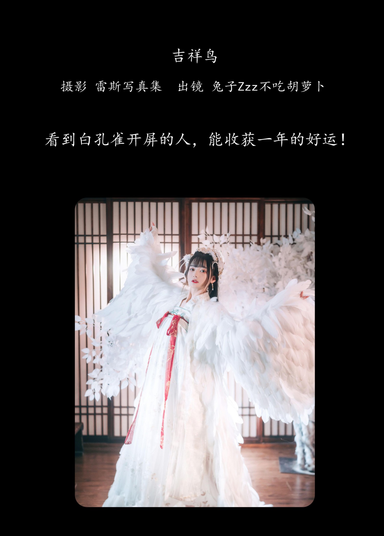 兔子Zzz不吃胡萝卜 – 《吉祥鸟》[22P] 插图2