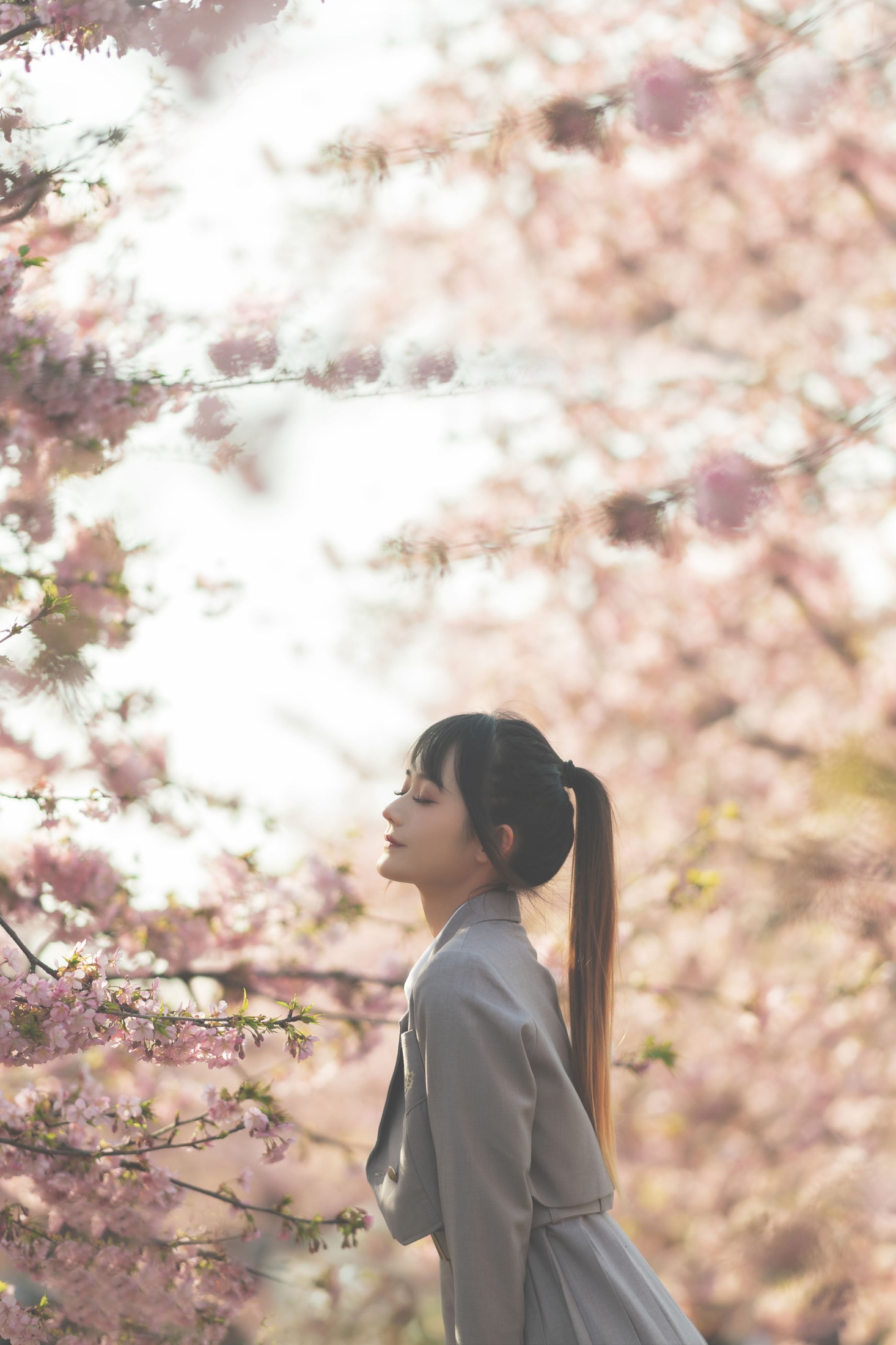 兔子Zzz不吃胡萝卜 – 《樱之声》[27P] 插图3