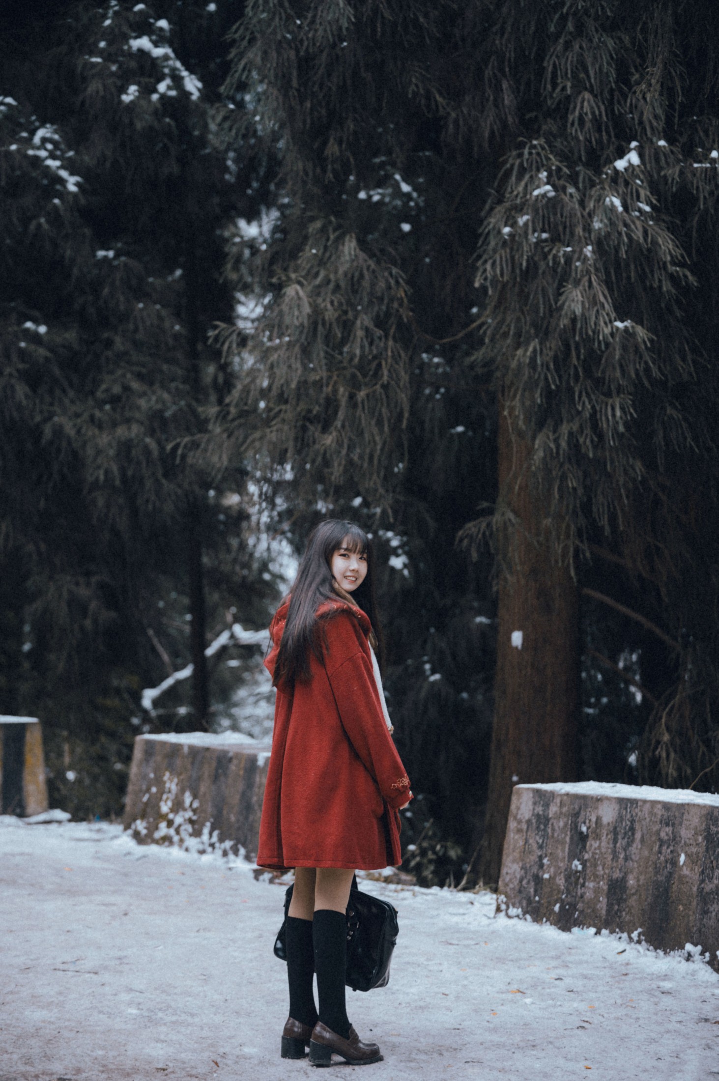 紫卿 – 《风雪》[20P] 插图3