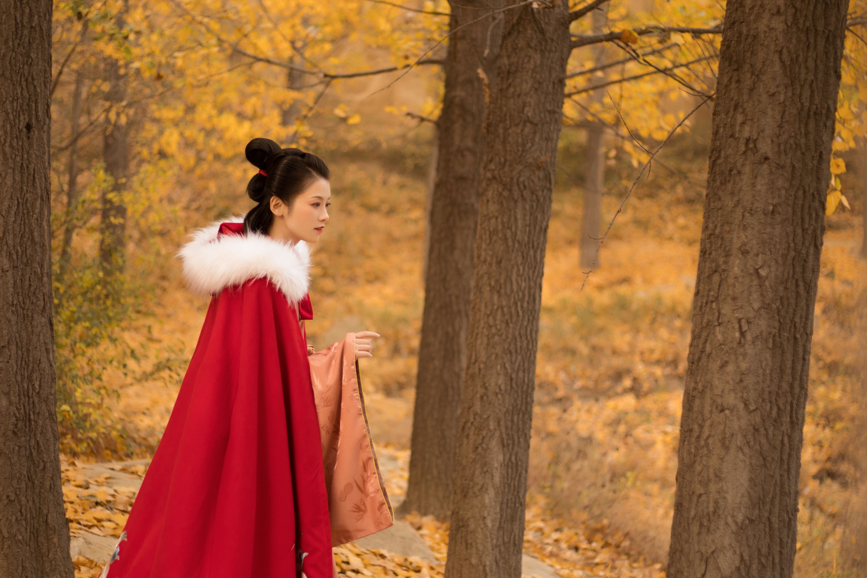 清沅斋 – 《秋意浓》[20P] 插图3