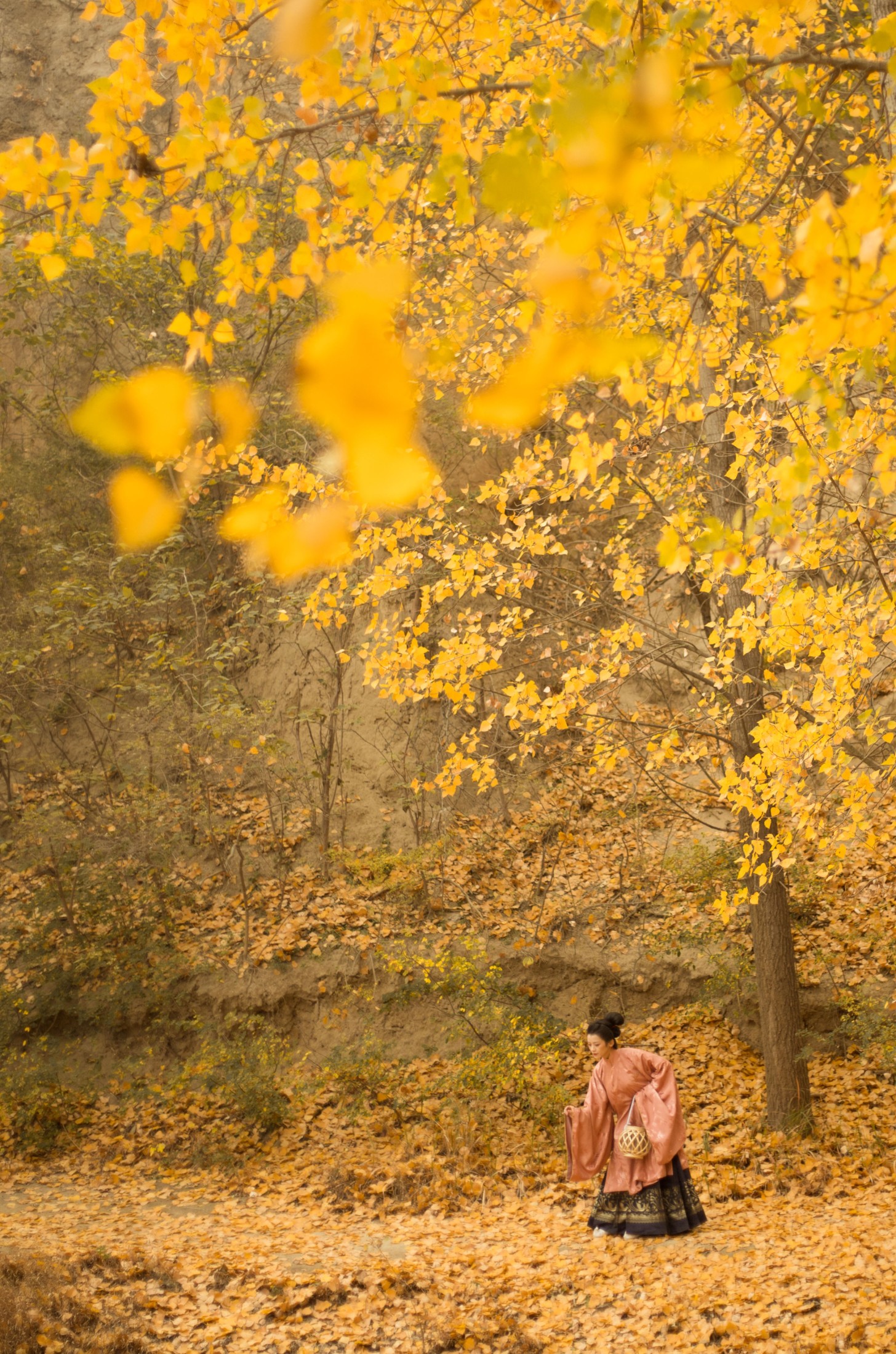 清沅斋 – 《秋意浓》[20P] 插图4