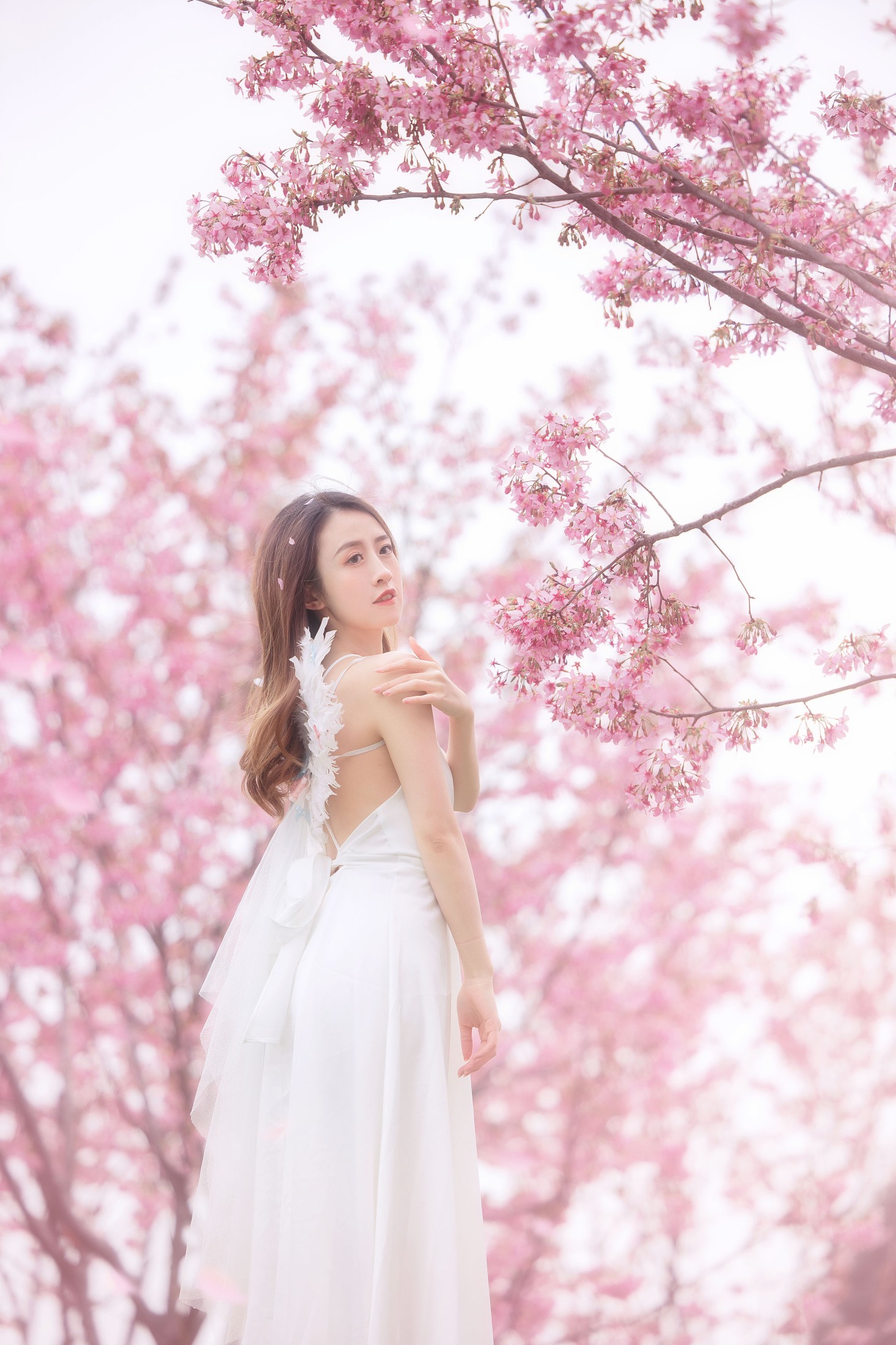 子依 – 《樱花》[29P] 插图5