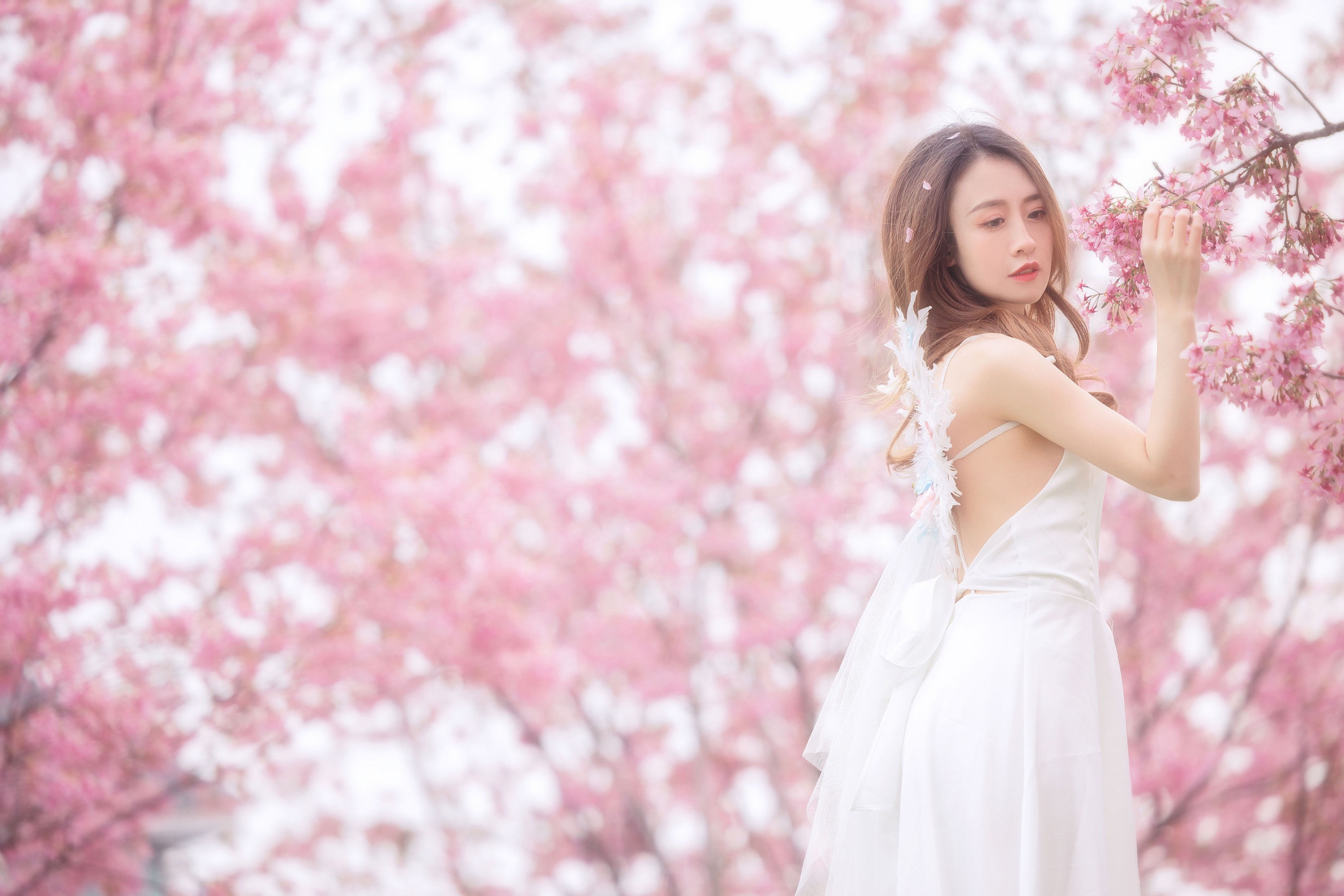 子依 – 《樱花》[29P] 插图4