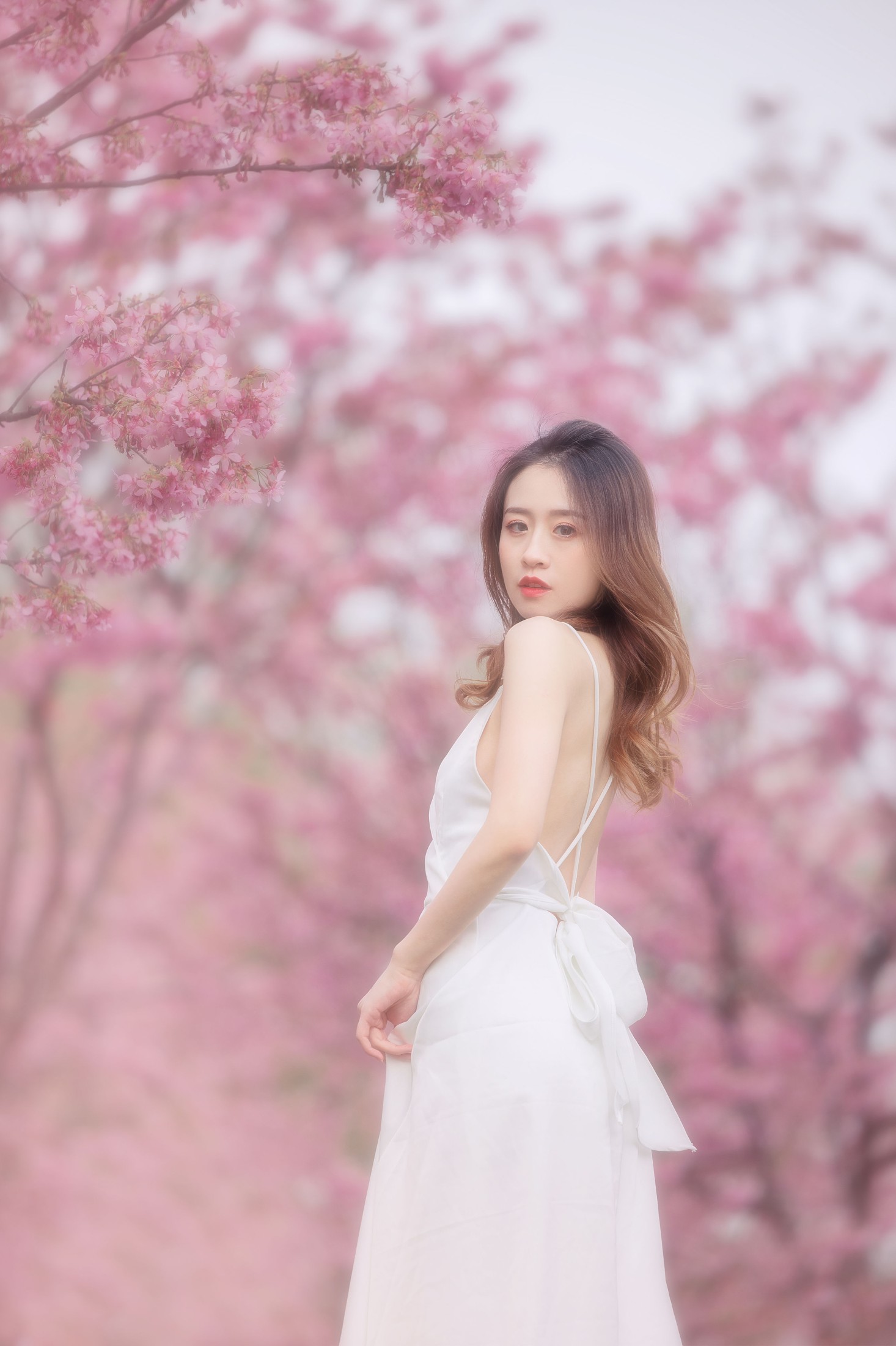 子依 – 《樱花》[29P] 插图3