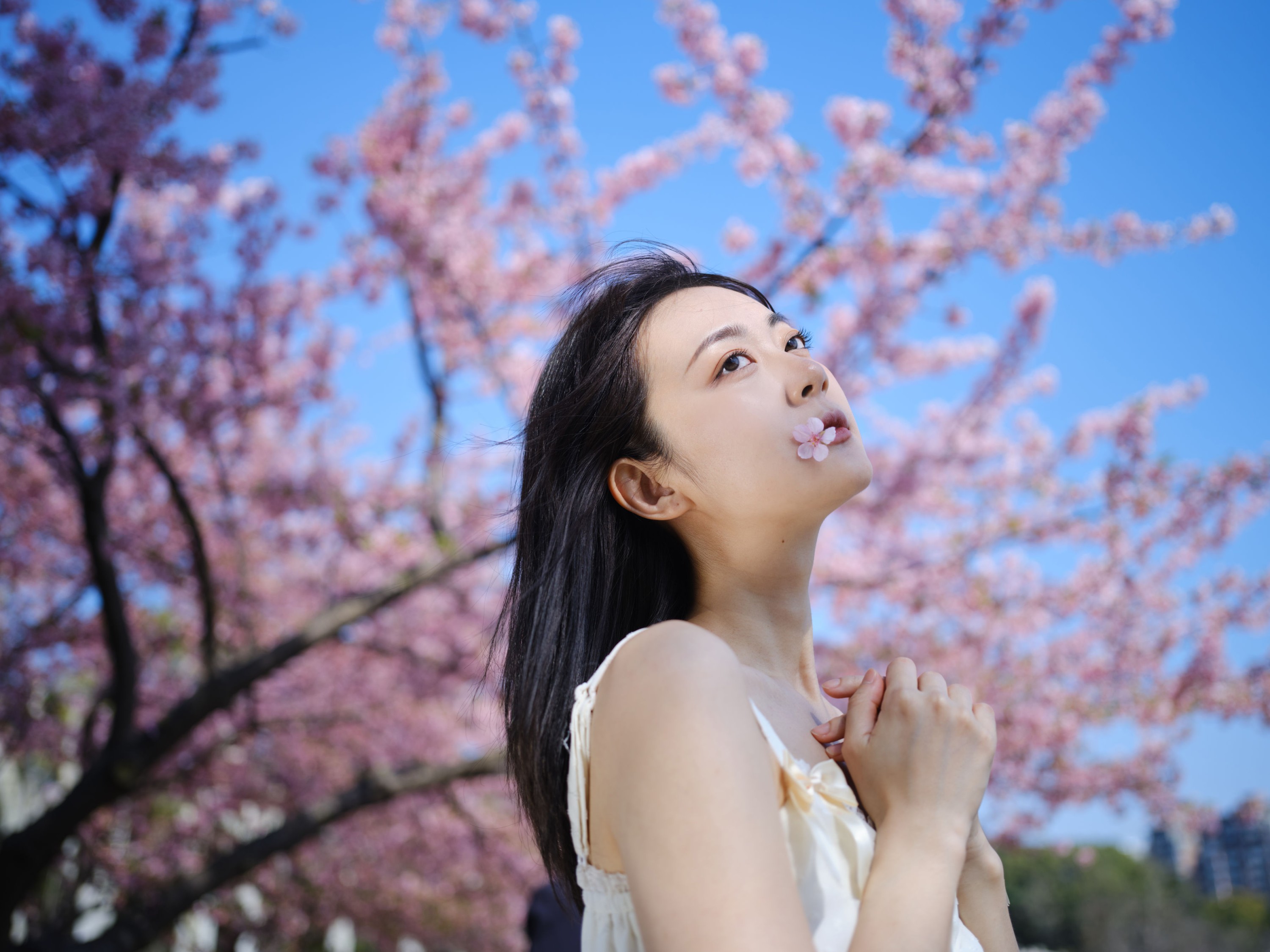 飞鸟咕咕- – 《白裙》[24P] 插图4