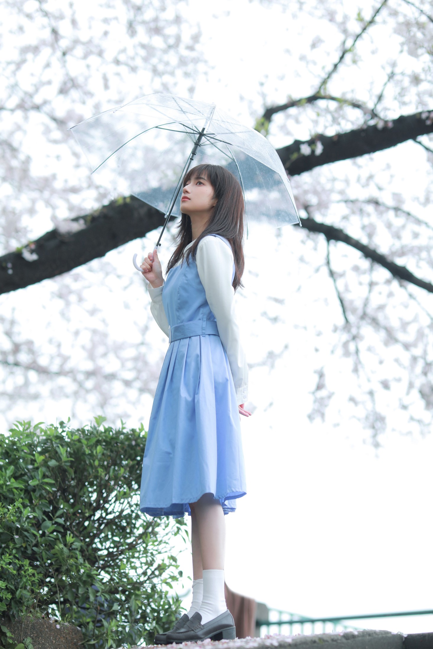 月半了吧 – 《春日来信》[32P] 插图3