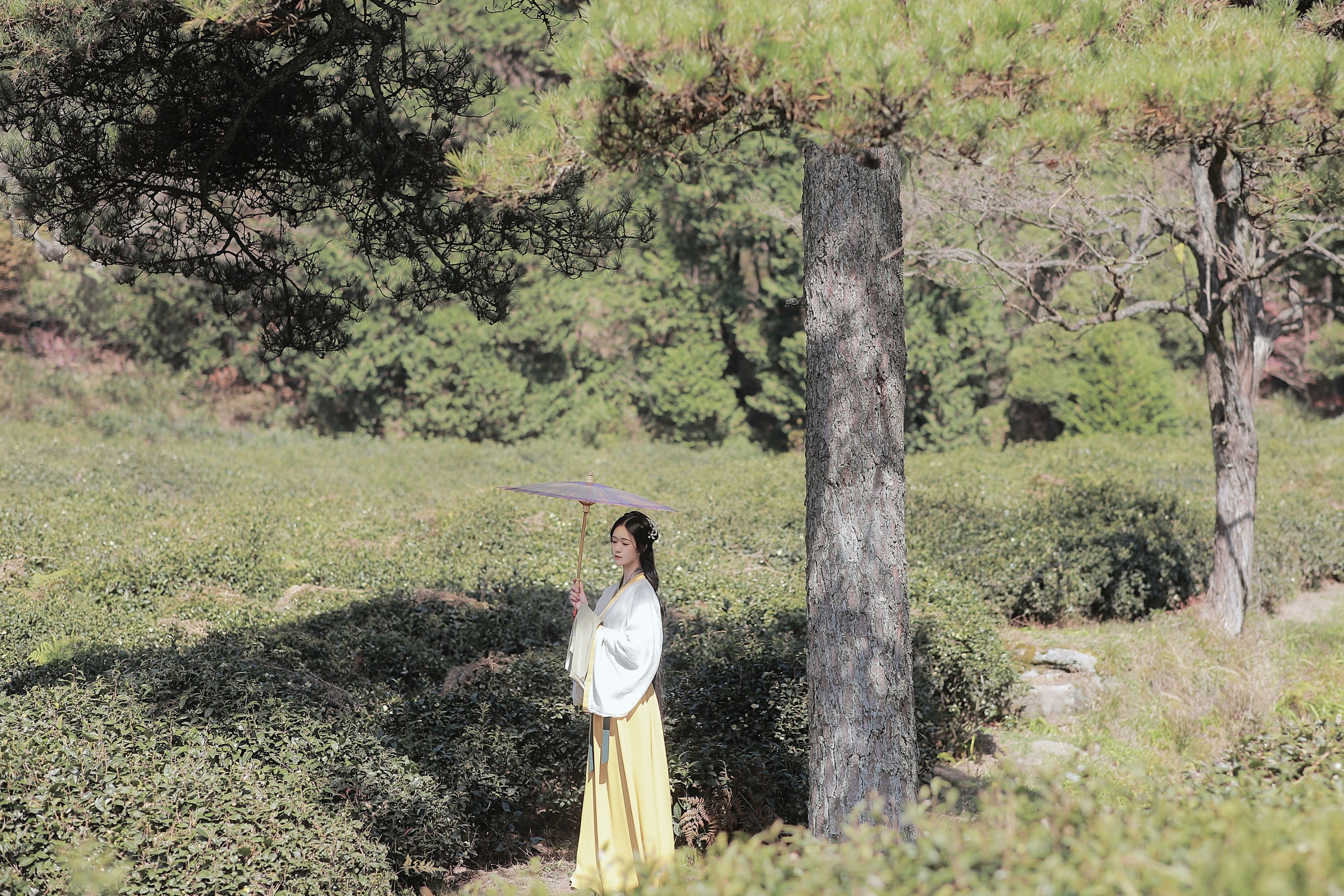 之楠楠楠 – 《采茶女》[22P] 插图5