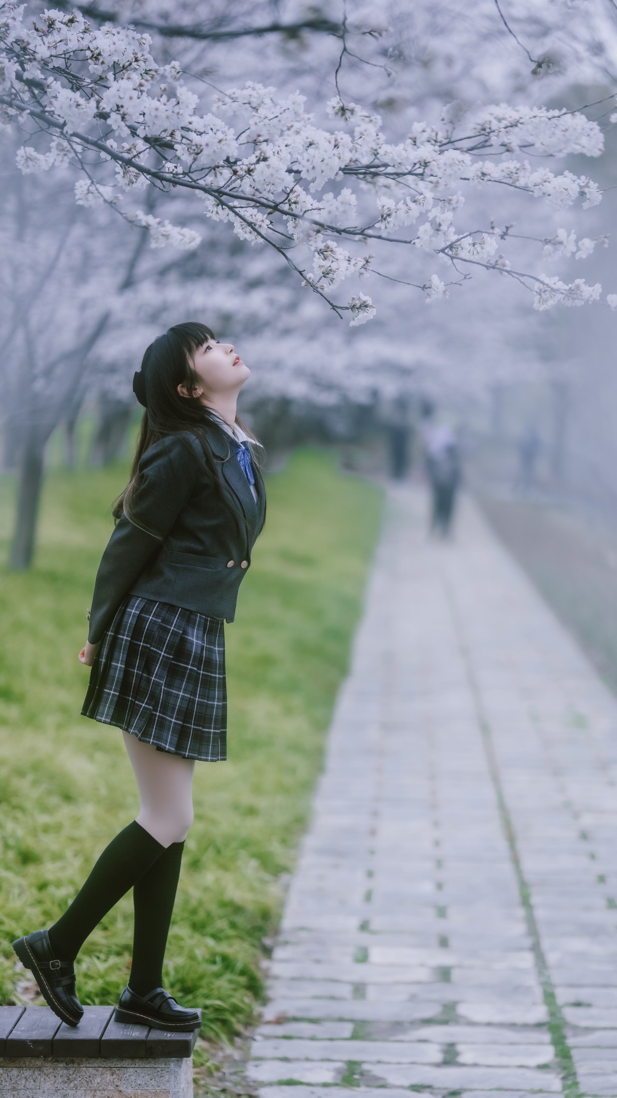 ZERO – 《春日限定》[56P] 插图5