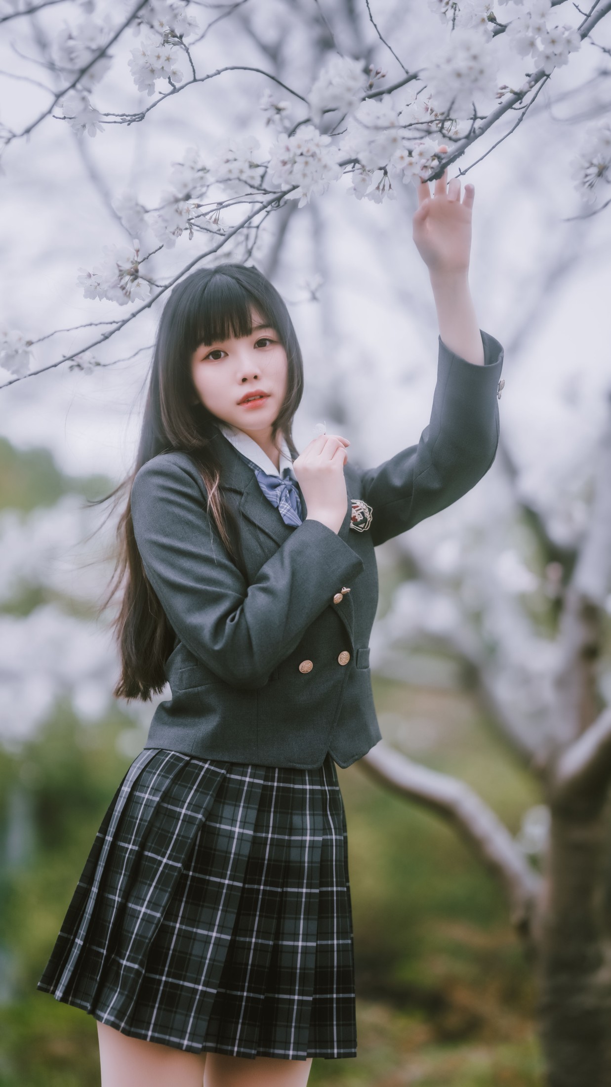 ZERO – 《春日限定》[56P] 插图3