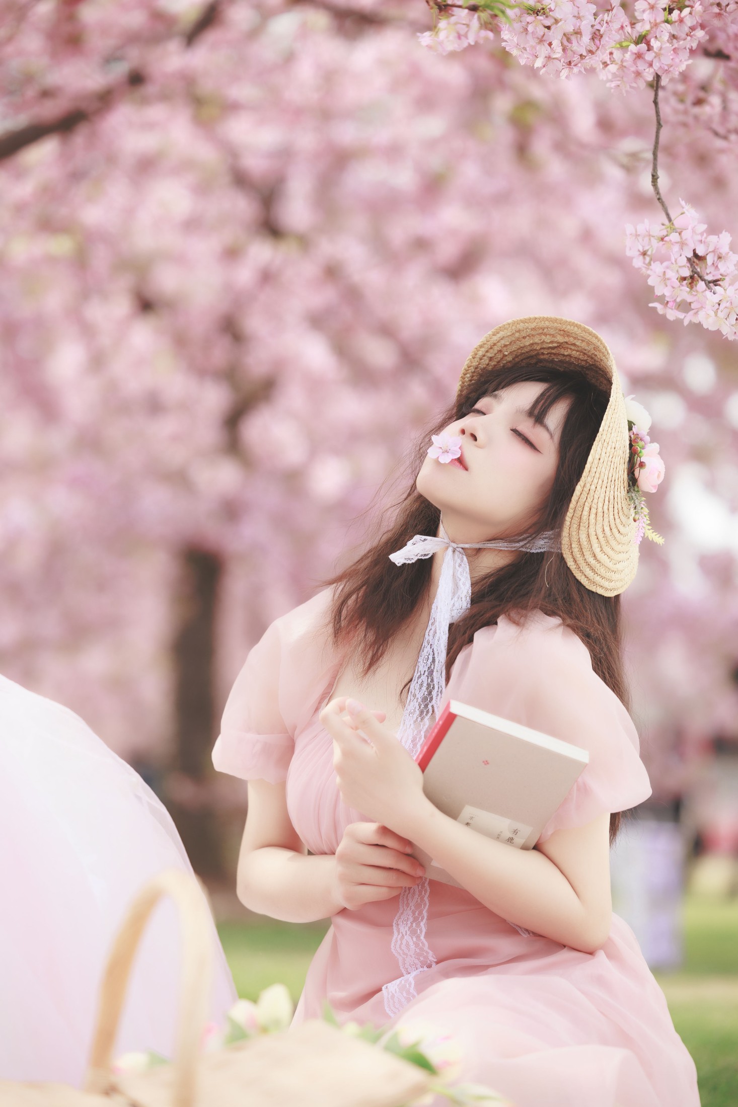 贰加六 – 《樱之浪漫》[24P] 插图4